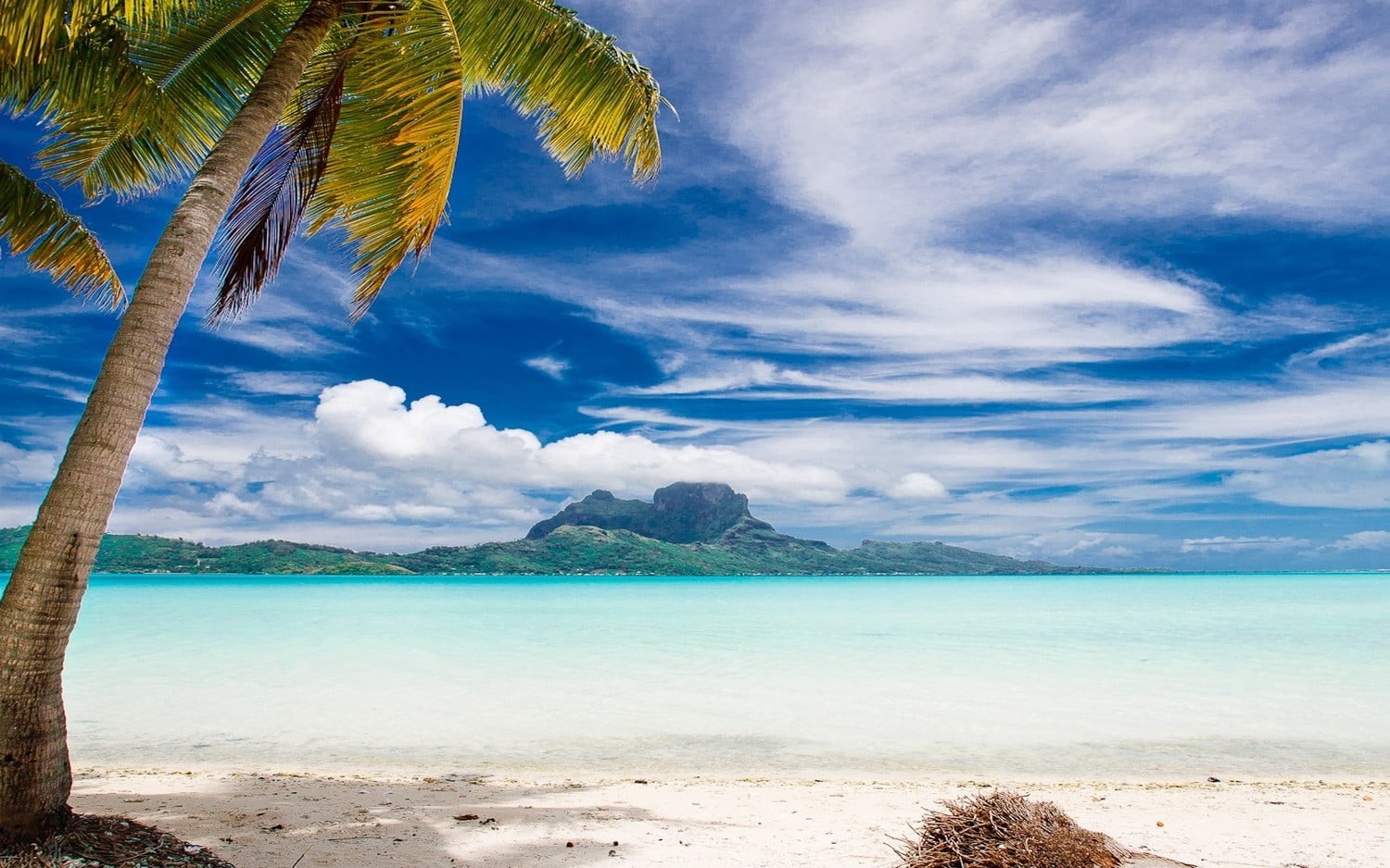 palm trees, sky, tranquility, seashore, water, coconut, cloud - sky, outdoors, coconut palm tree, idyllic, nature, no people, Bora Bora, mountains, tropical tree, HD Wallpaper
