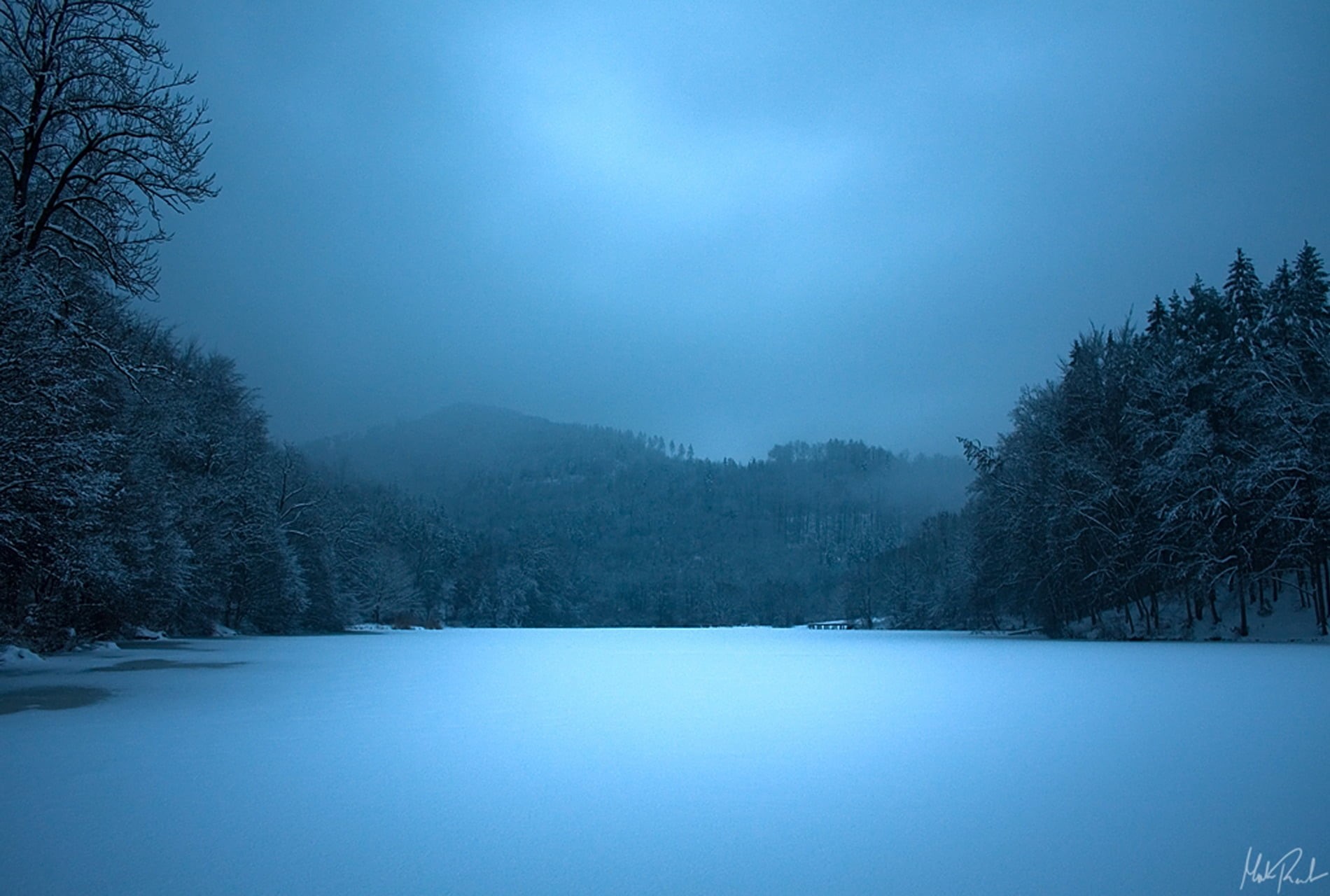 blue, backgrounds, cold temperature, coniferous tree, cold - Temperature, nature, spruce Tree, plant, scenics, outdoors, morning, scenics - nature, tree, HD Wallpaper