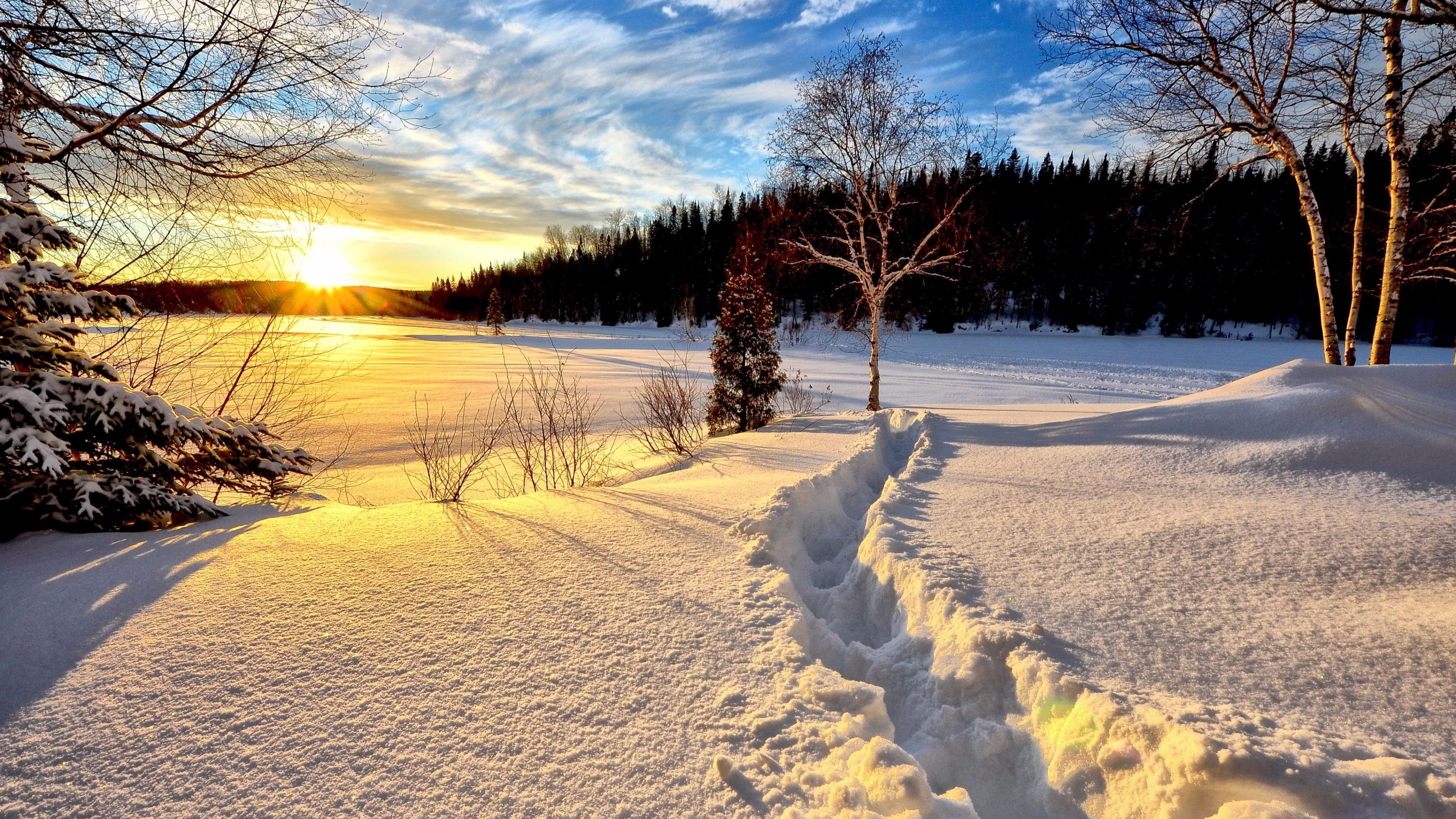 sun, cloud, sunrise, 4K, light, sky, tree, frost, sunlight, morning, landscape, frozen, lake, snow trail, nature, winter, snow, HD Wallpaper