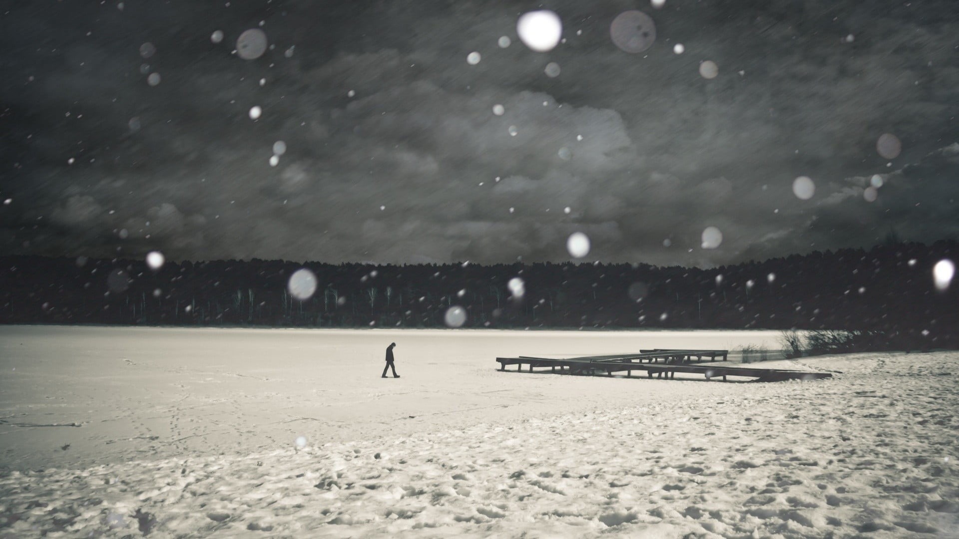 snow, bokeh, pier, weather, clouds, leisure activity, land, snowing, covered, trees, people, day, nature, bird, extreme weather, walking, men, frozen, monochrome, HD Wallpaper