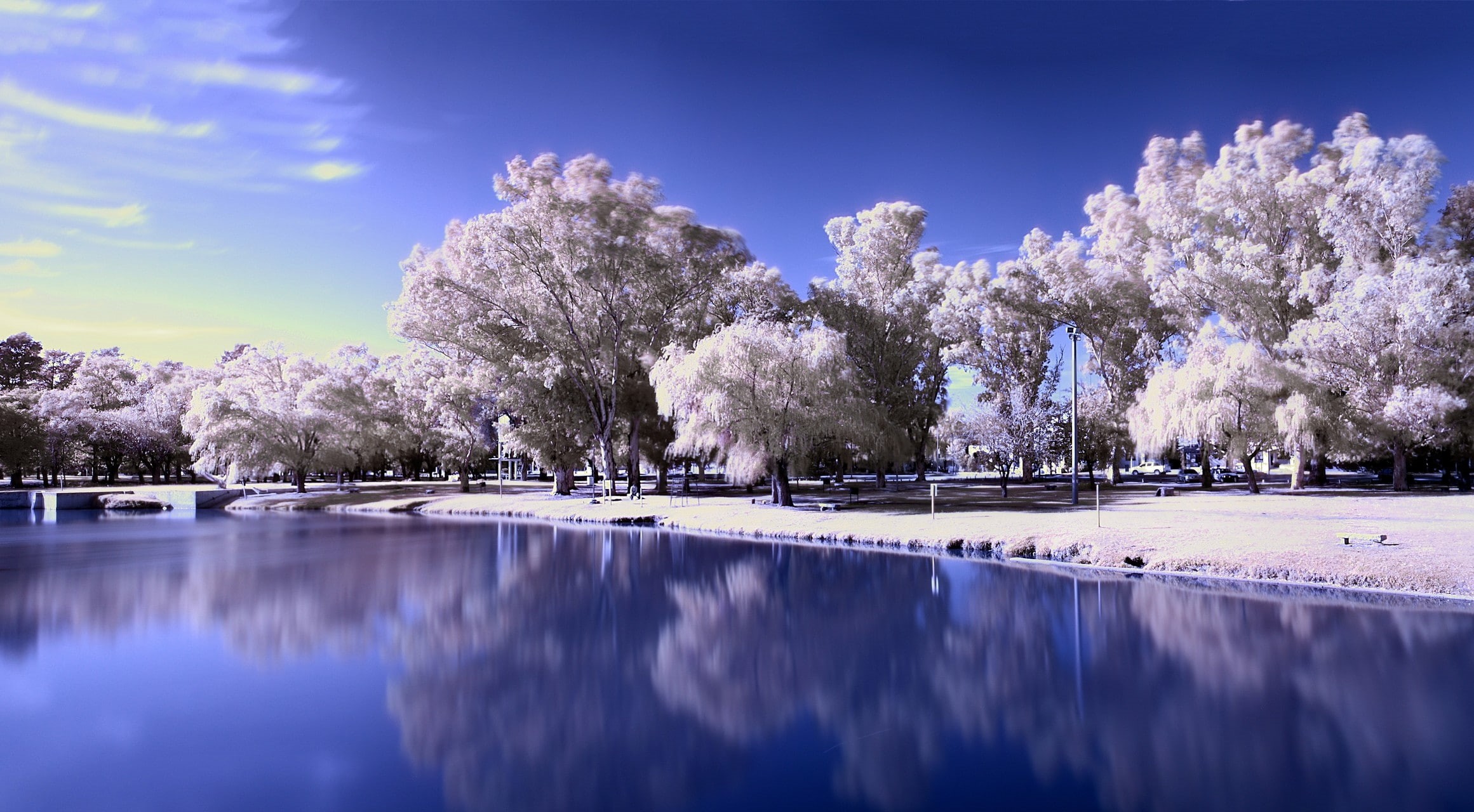 trees, snow, frozen lake, landscape, winter, lake, 1080P, HD Wallpaper