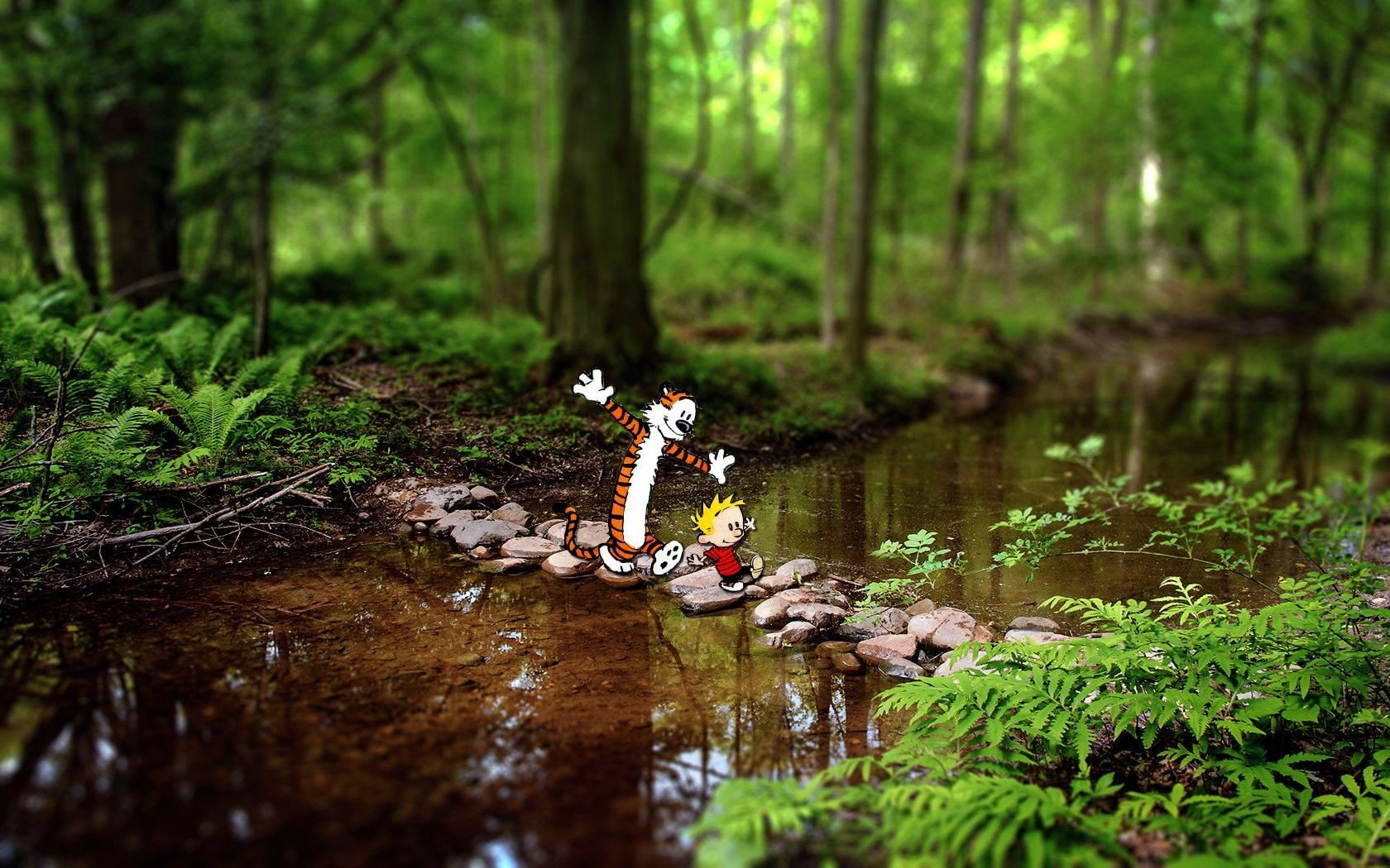 forest, 720P, green color, Calvin and Hobbes, tree, no people, nature, lake, outdoors, animal, animals in the wild, water, reflection, animal themes, woodland, HD Wallpaper