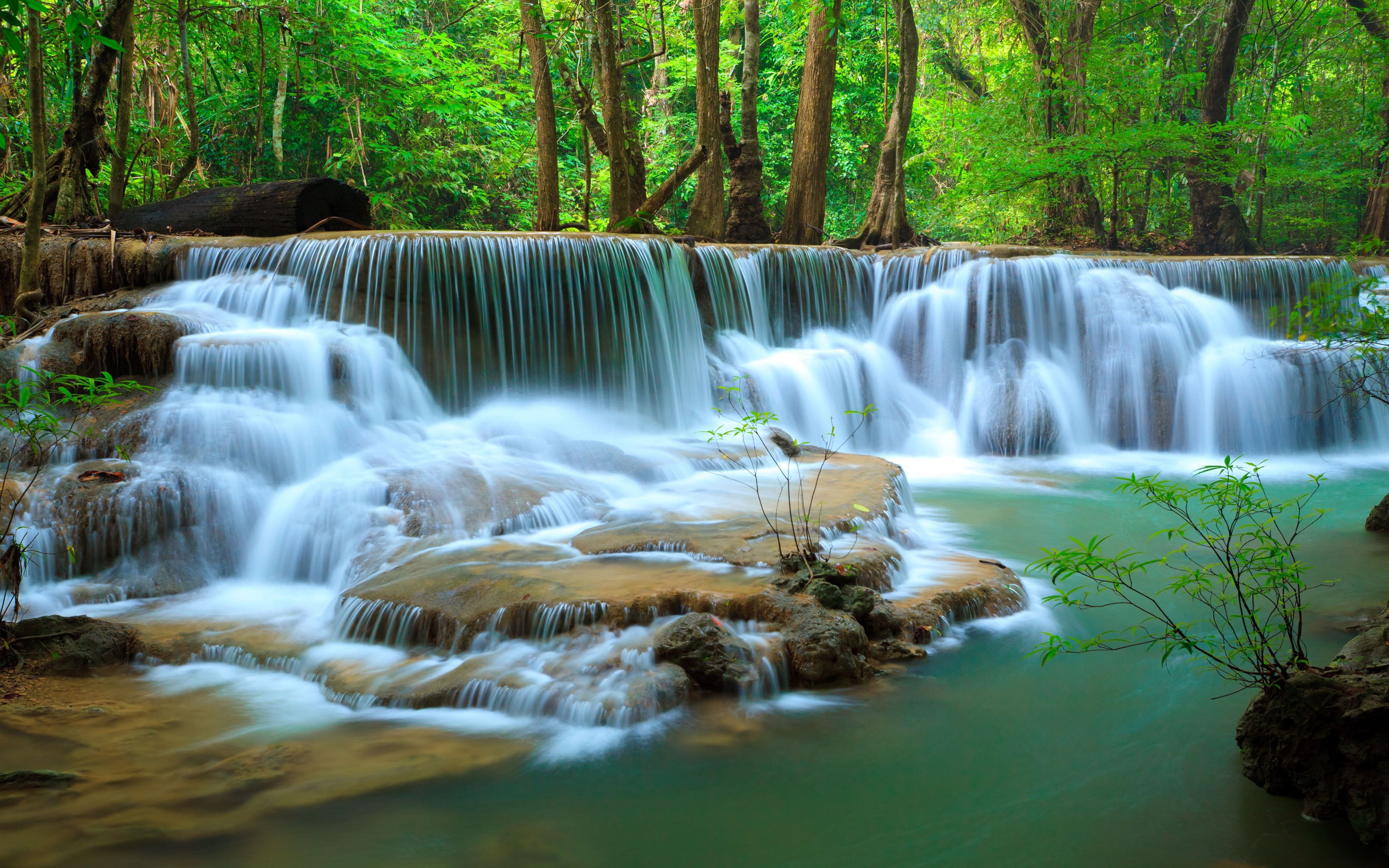 nature, growth, 4K, stream - flowing water, environment, rainforest, land, photo, flowing, kanchanaburi, flowing water, waterfall, forest, river, outdoors, HD Wallpaper