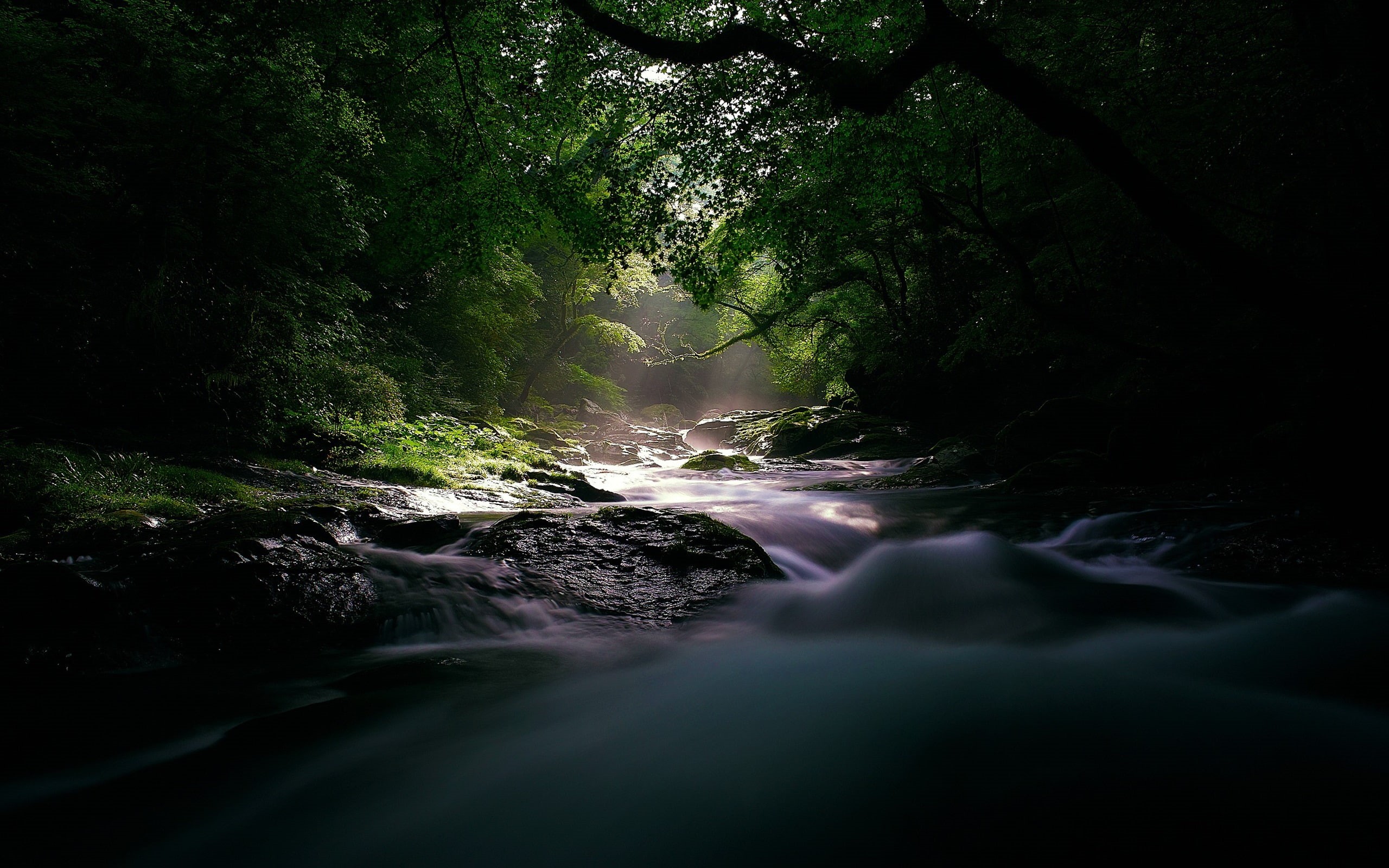 green color, 2K, waterfall, plant, rivers, flowing, windows, flowing water, rainforest, rock - object, scenics - nature, nature, solid, sunlight, outdoors, HD Wallpaper