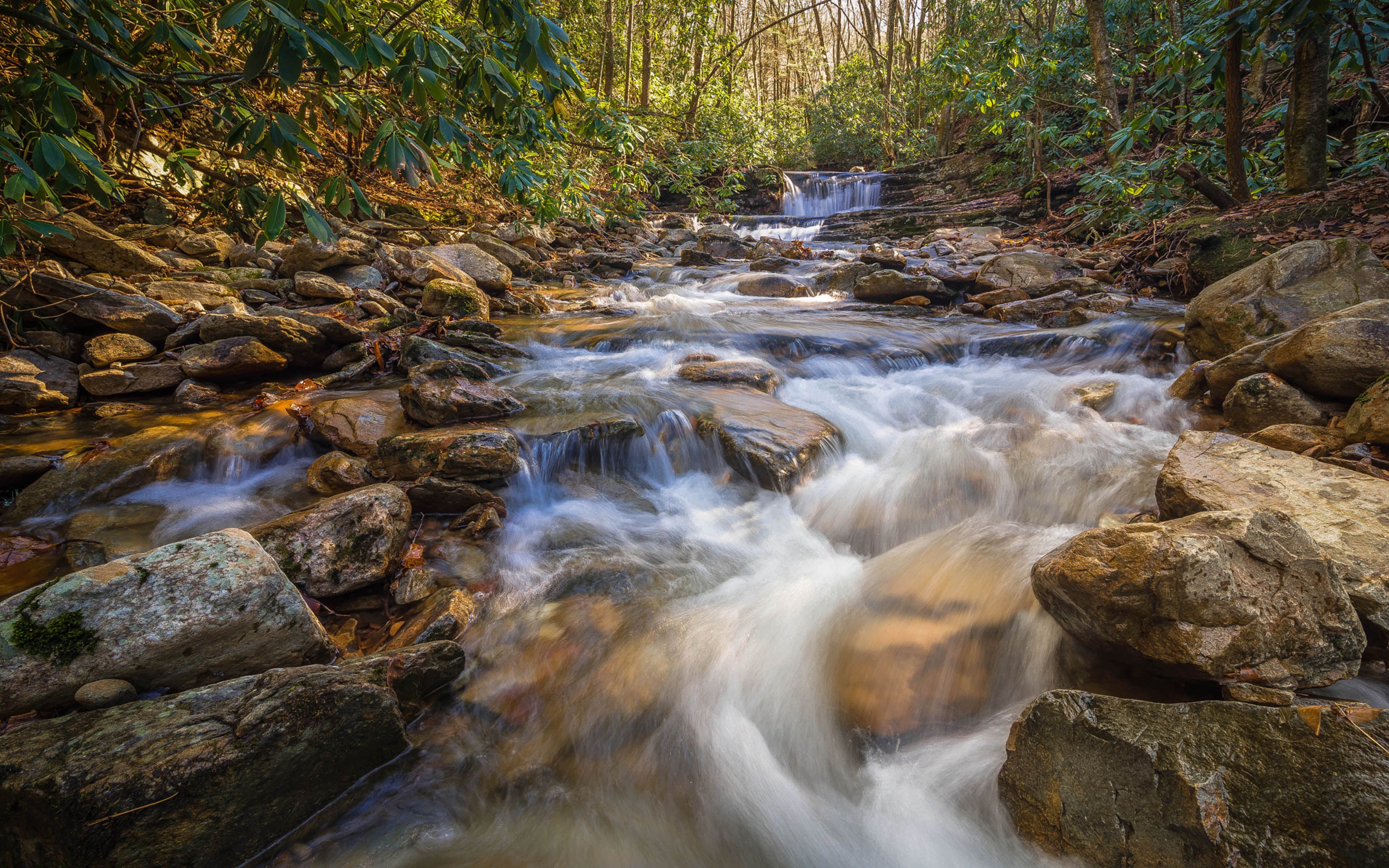 day, stream - flowing water, falls, tv, k, tablet, land, fork, water, rock - object, red, forest, ultra, outdoors, hd, beauty in nature, flowing, HD Wallpaper