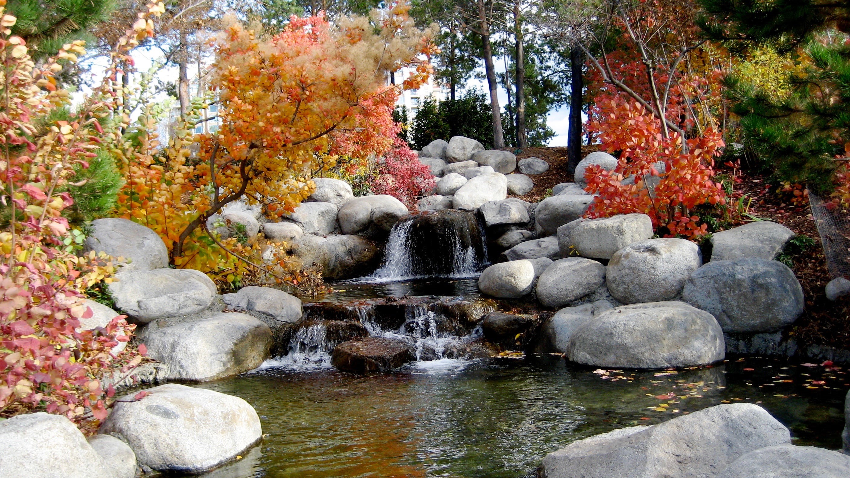 plant, japanese garden, change, fall, tranquil scene, season, forest, woods, stream - flowing water, environment, trees, ornamental garden, landscape, no people, HD Wallpaper