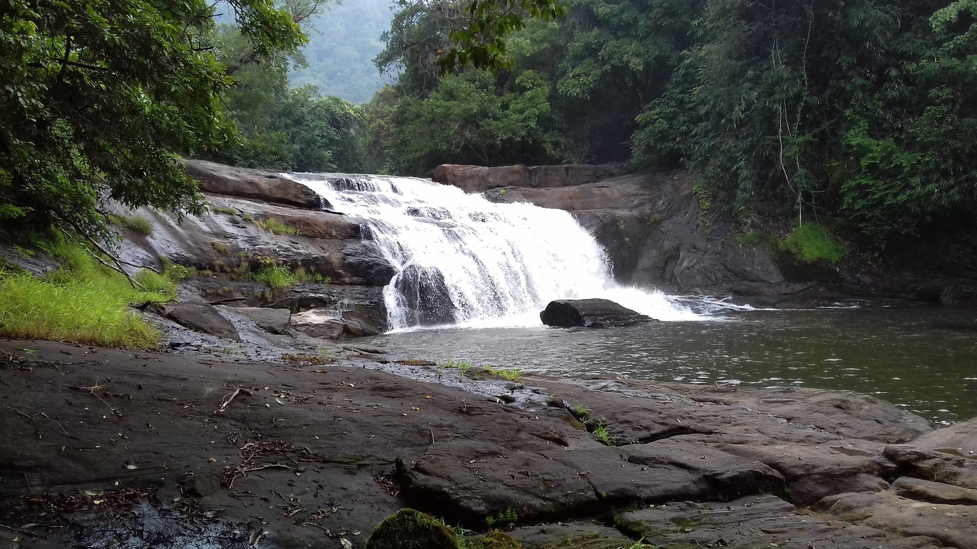 stream - flowing water, flowing Water, flowing, plant, power in nature, 2K, freshness, falling water, state - kerala, rock, landscape, solid, State, growth, HD Wallpaper