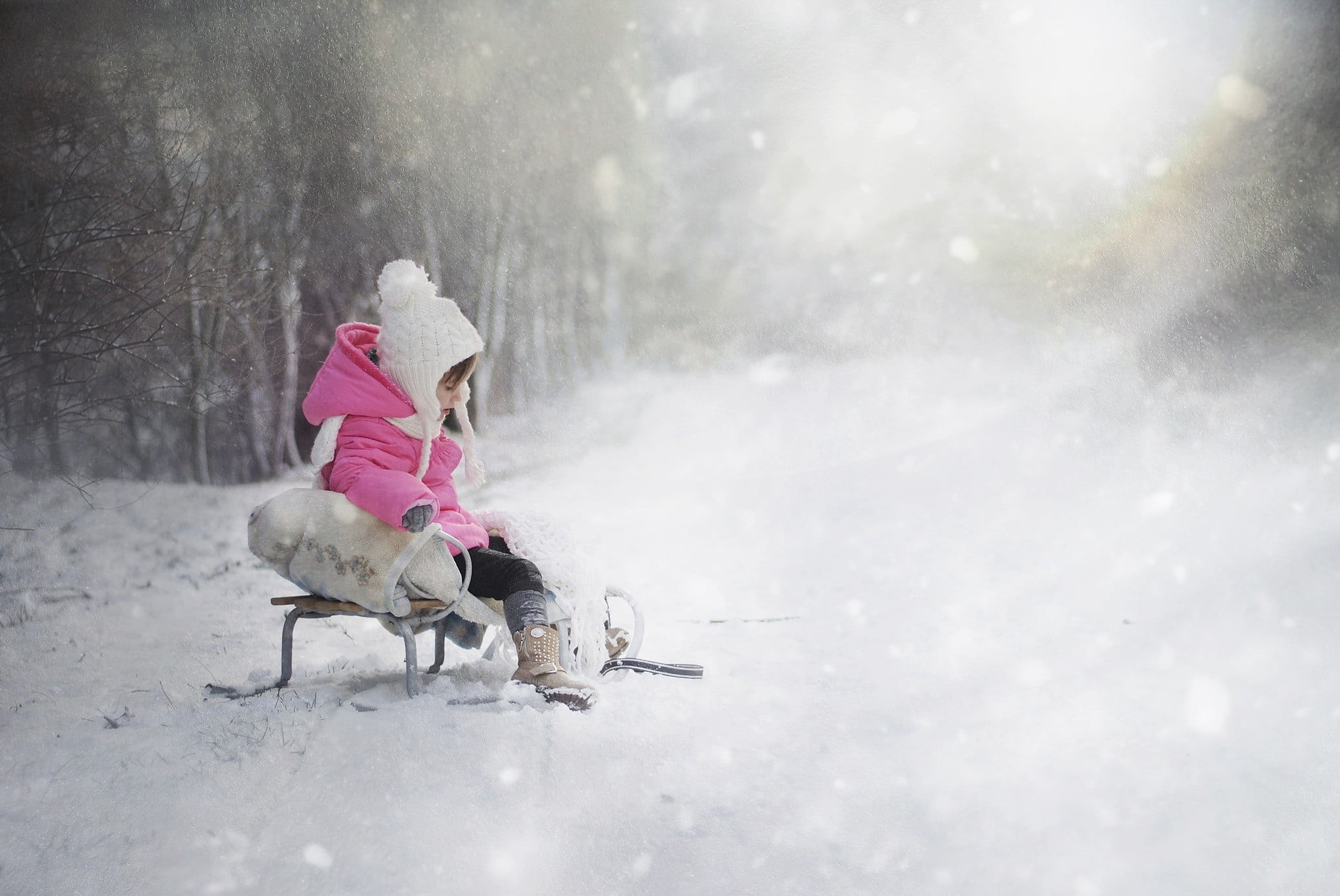domestic animals, animal themes, bubble, outdoors, full length, nature, snow, mammal, cold temperature, snowing, domestic, one animal, dog, animal, 1080P, HD Wallpaper