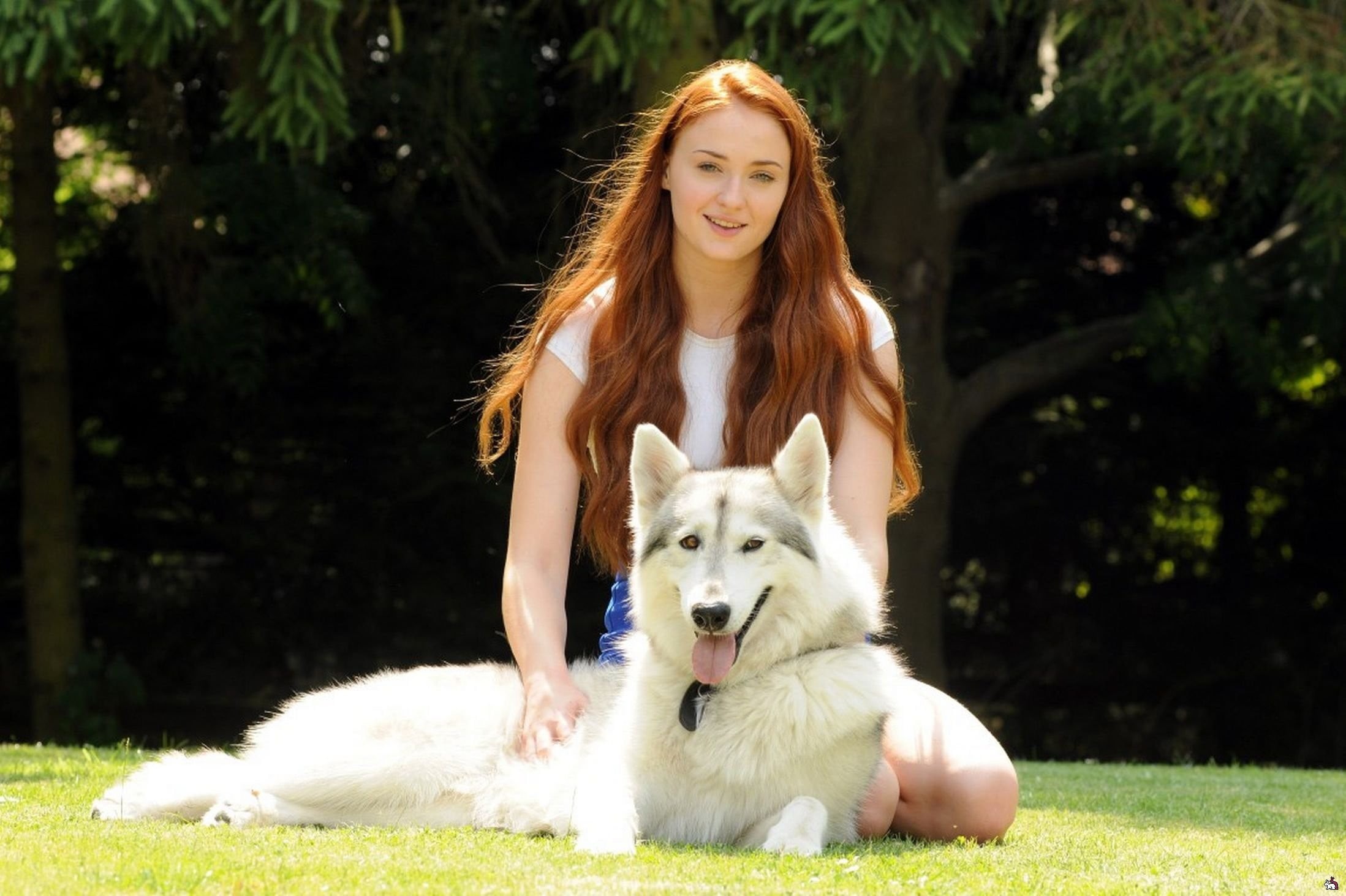 adult, hair, vertebrate, malamute, hairstyle, sophie, domestic animals, one animal, turner, portrait, looking at camera, pets, beautiful woman, women outdoors, HD Wallpaper