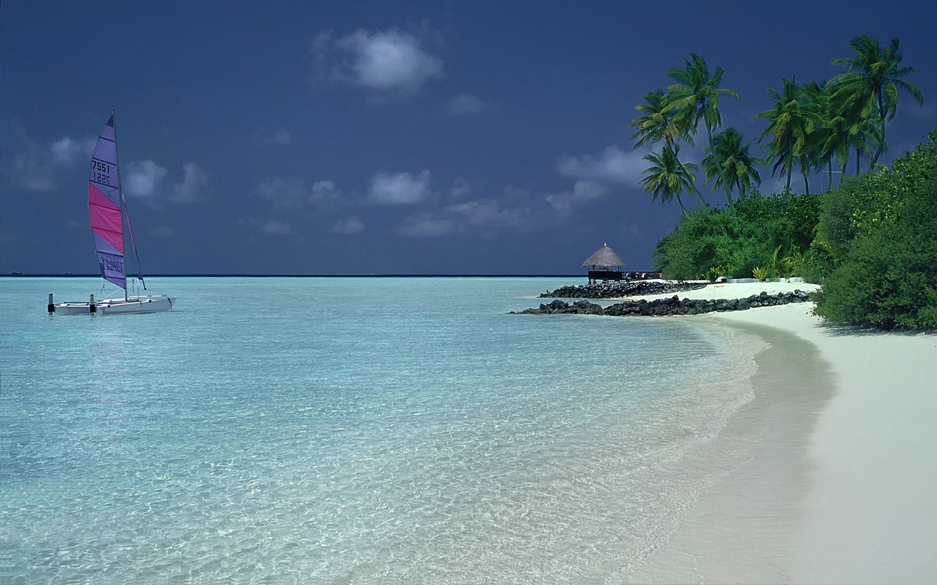 1080P, landscape, palm trees, 1920x1200, trees, palm, summer, sea, catamaran, beach, sand, nature, HD Wallpaper