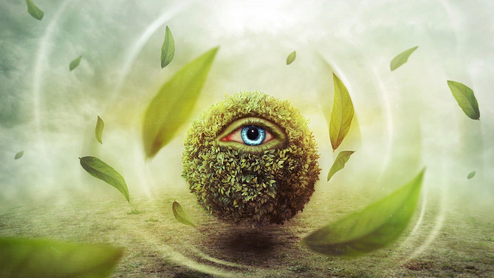 day, plant part, green color, surreal, water, plant, leaves, nature, no people, eyeball, leaf, close-up, digital art, eyes, creativity, leafed, illustration, HD Wallpaper