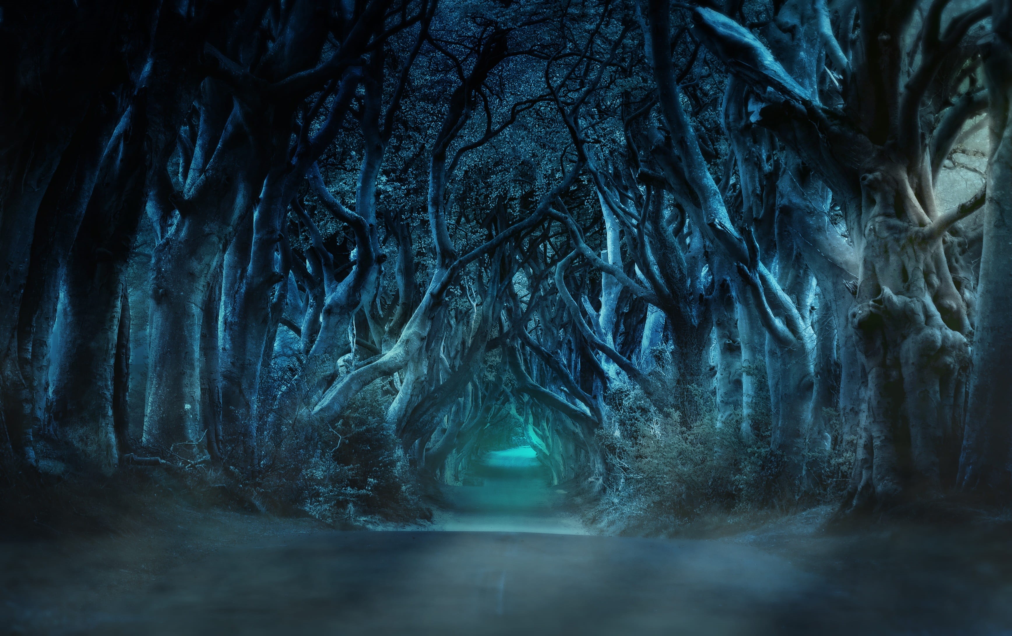 the dark hedges, image manipulation, tranquility, digital, background image, beauty in nature, tunnel, fantasy, tree, road, trees, natural wonders, legend, HD Wallpaper