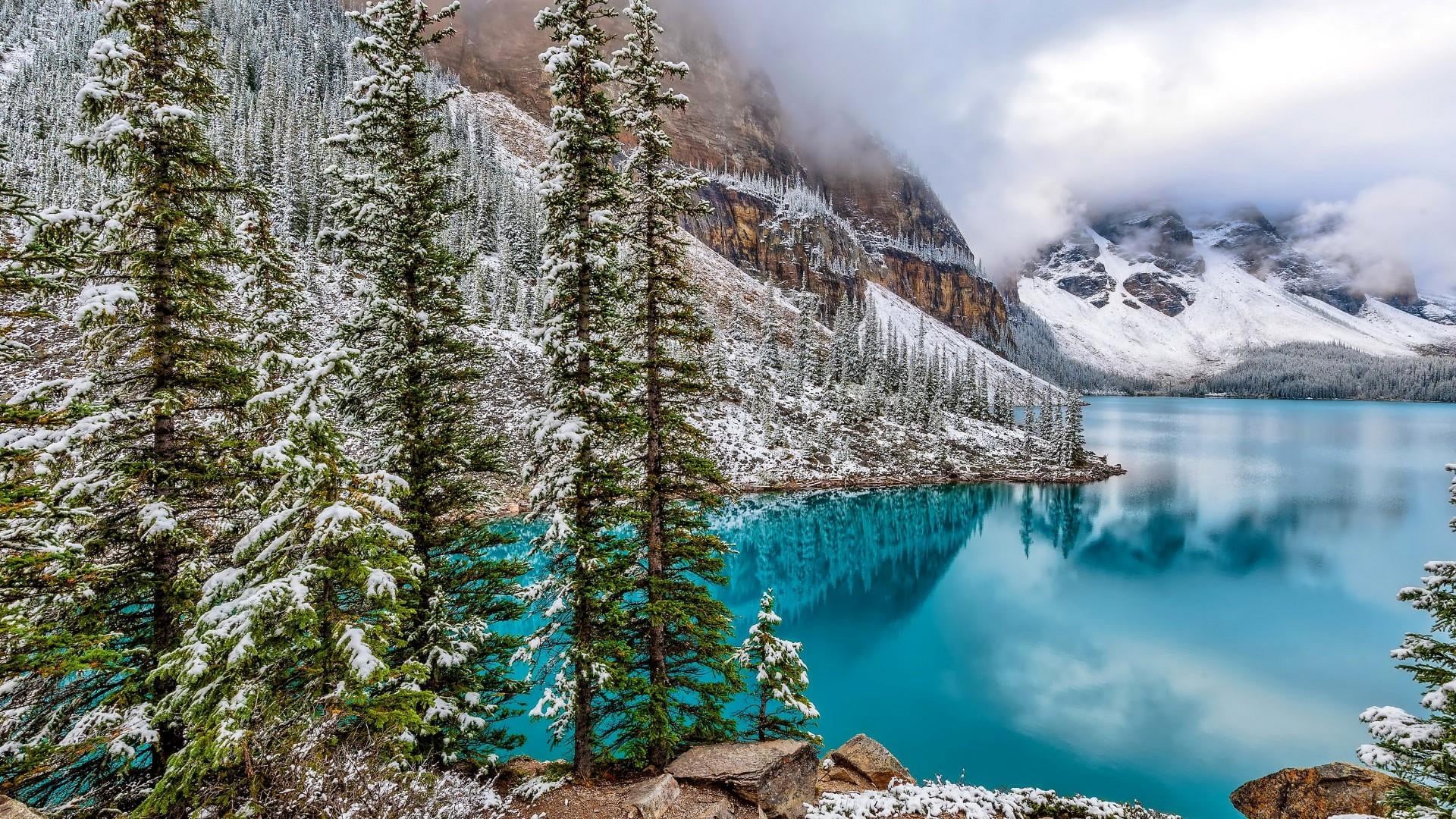 cold temperature, blue water, clear water, tranquil scene, landscape, mount scenery, banff national park, land, sky, alberta, tranquility, lake, tree, outdoors, HD Wallpaper