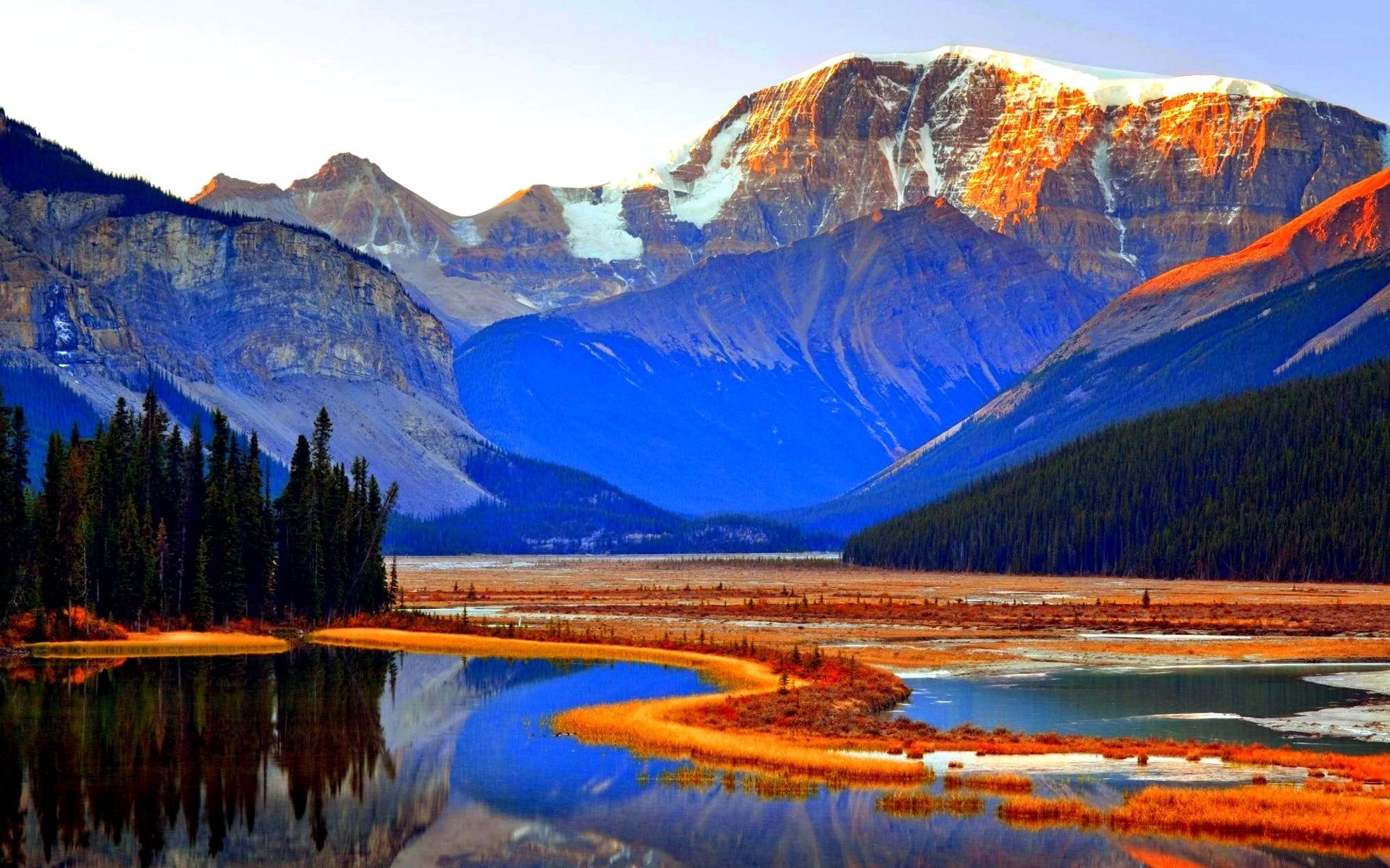 jasper, national park, alberta, animals, canada, mountains, trees, 1080P, river, national, park, HD Wallpaper