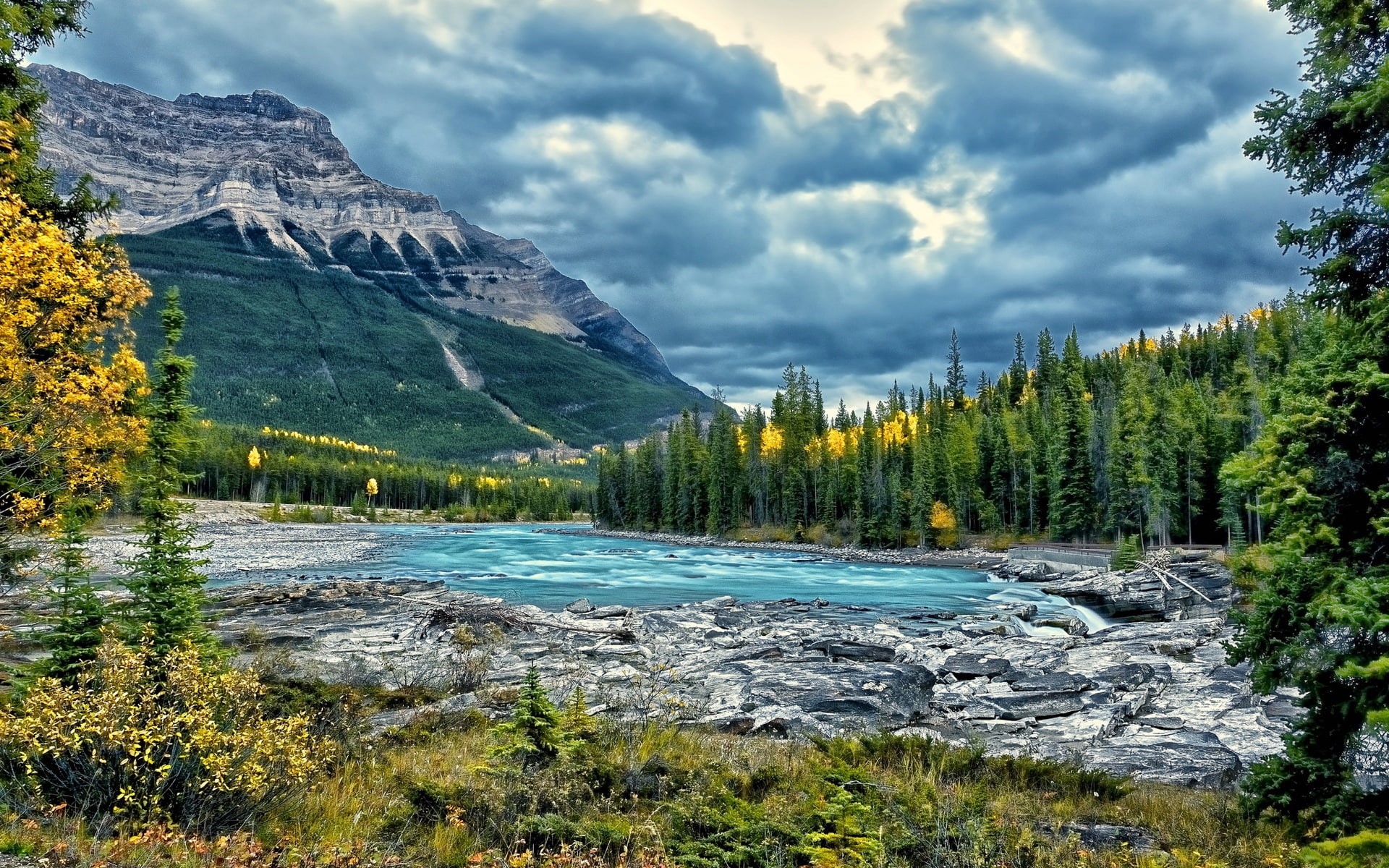 Park, Trees, River, Canada, Athabasca, Alberta, National, Jasper, 1080P, HD Wallpaper