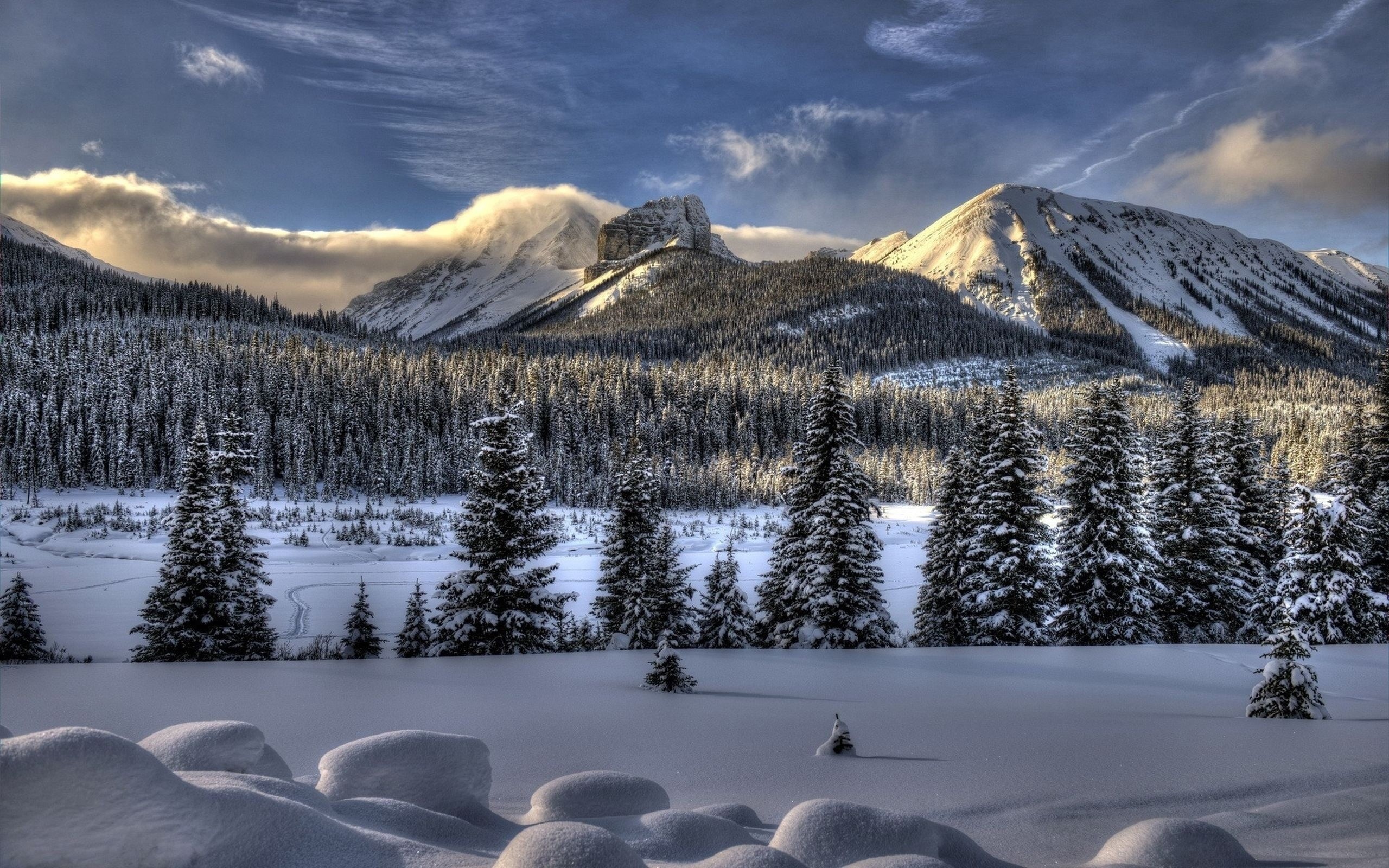 canada, rock - Object, blue, pine Tree, extreme Terrain, nature, snowcapped mountain, national Landmark, mountain Peak, landscape, forest, trees, winter, HD Wallpaper