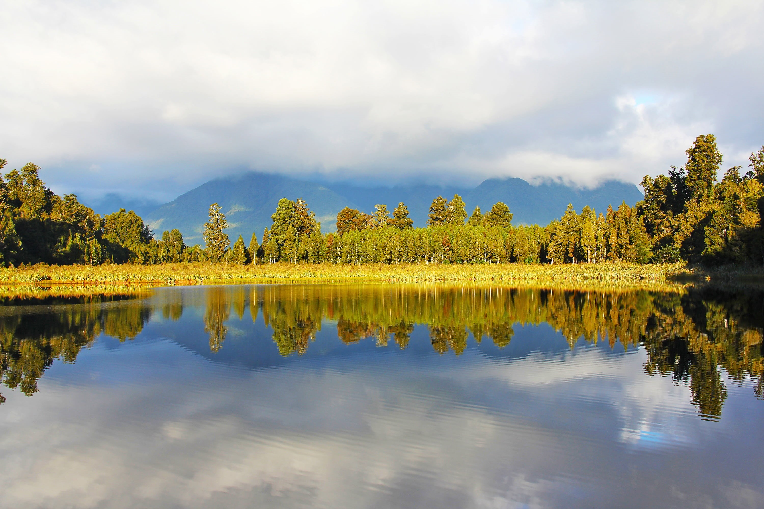 cloud - sky, day, yellow, non-urban scene, waterfront, no people, green, autumn, coniferous tree, front, scenics - nature, lake, body, trees, calm, blue, HD Wallpaper