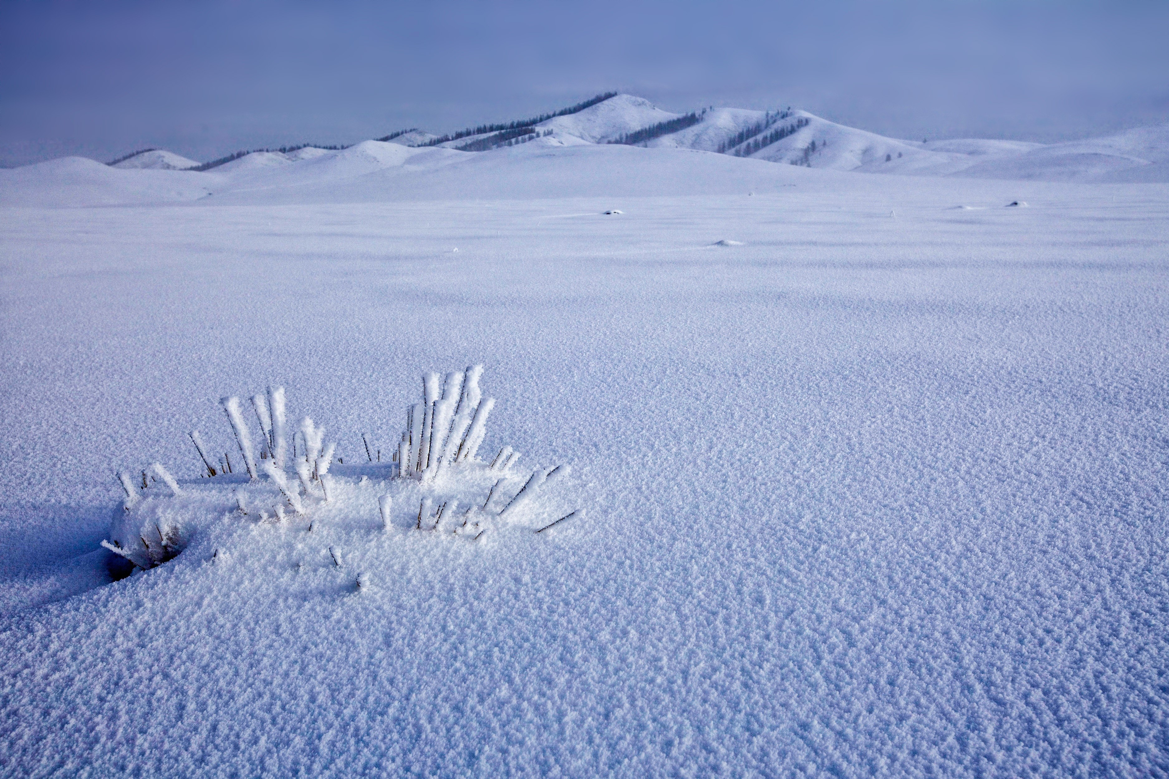 bogart village, climate, arid climate, snowcapped mountain, non-urban scene, cold temperature, land, mongolia, frozen, snow, outdoors, beauty in nature, HD Wallpaper