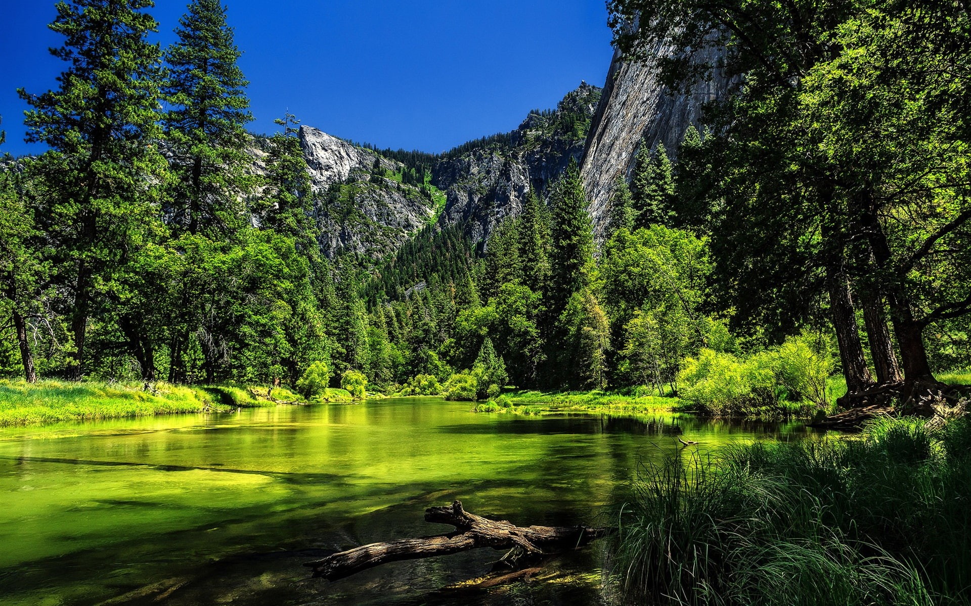 National, Park, Trees, California, 1080P, near, Yosemite, Lake, USA, Green, Mountain, HD Wallpaper