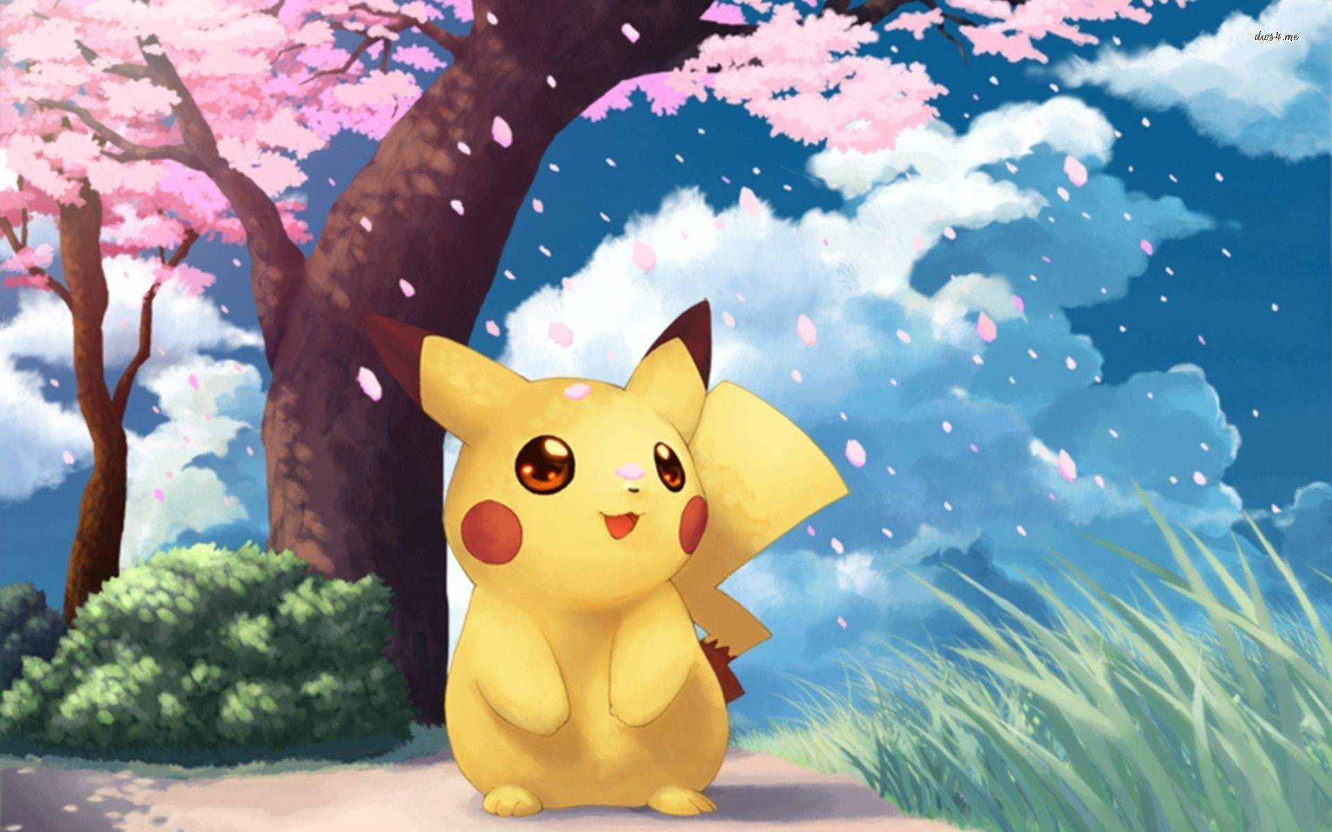 1080P, Pokemon, 4k wallappers, 1920x1200, pikachu, anime, HD Wallpaper