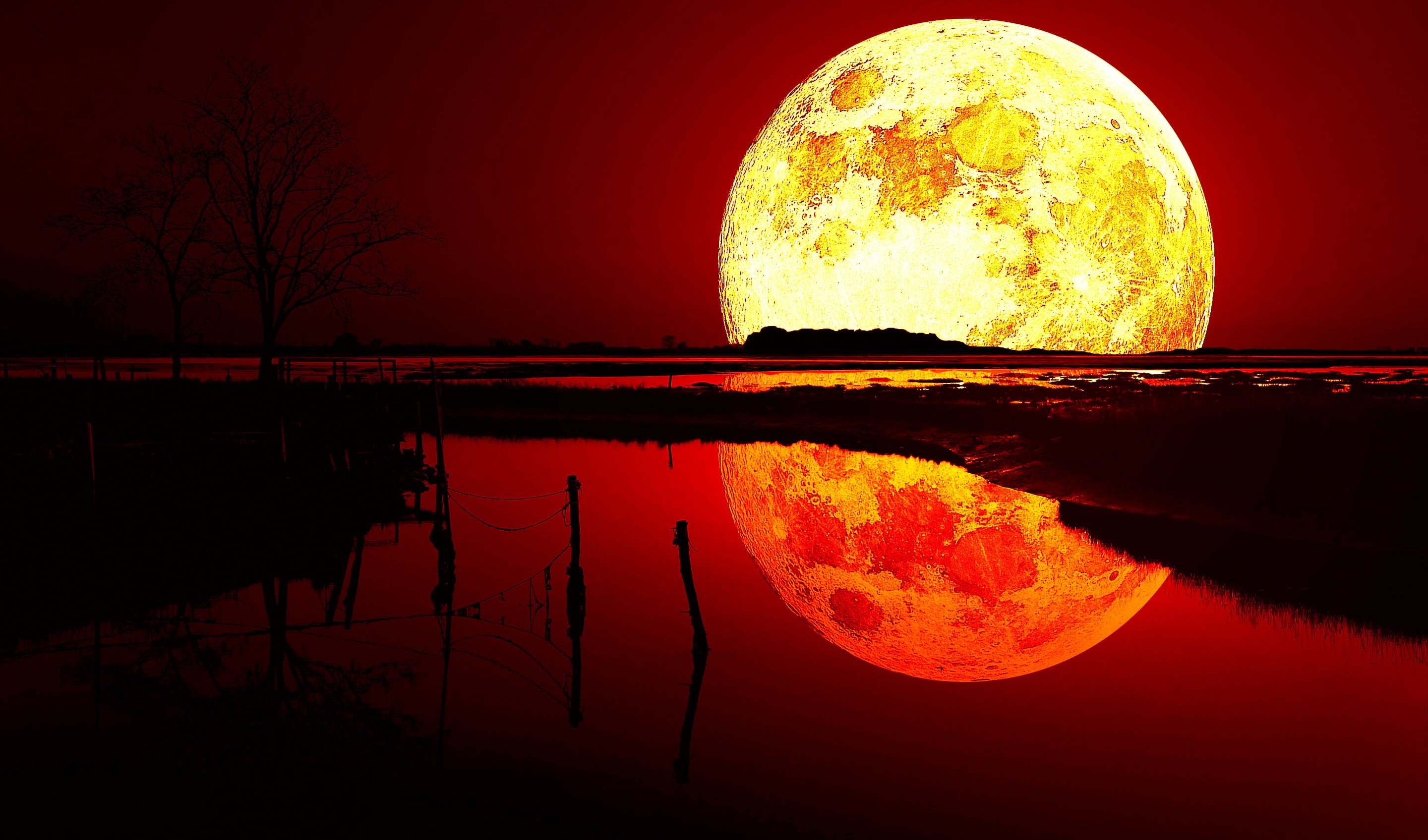 moon, blood, full moon, nature, tranquil scene, astronomy, reflection, lake, sky, tranquility, water, tree, no people, space, outdoors, sunset, orange color, HD Wallpaper