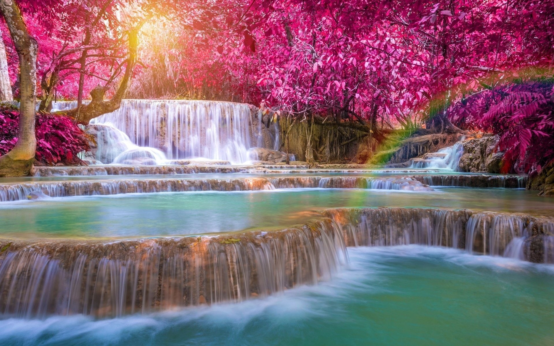 Nature, 1080P, Waterfall, Tree, Waterfalls, Rainbow, Foliage, HD Wallpaper