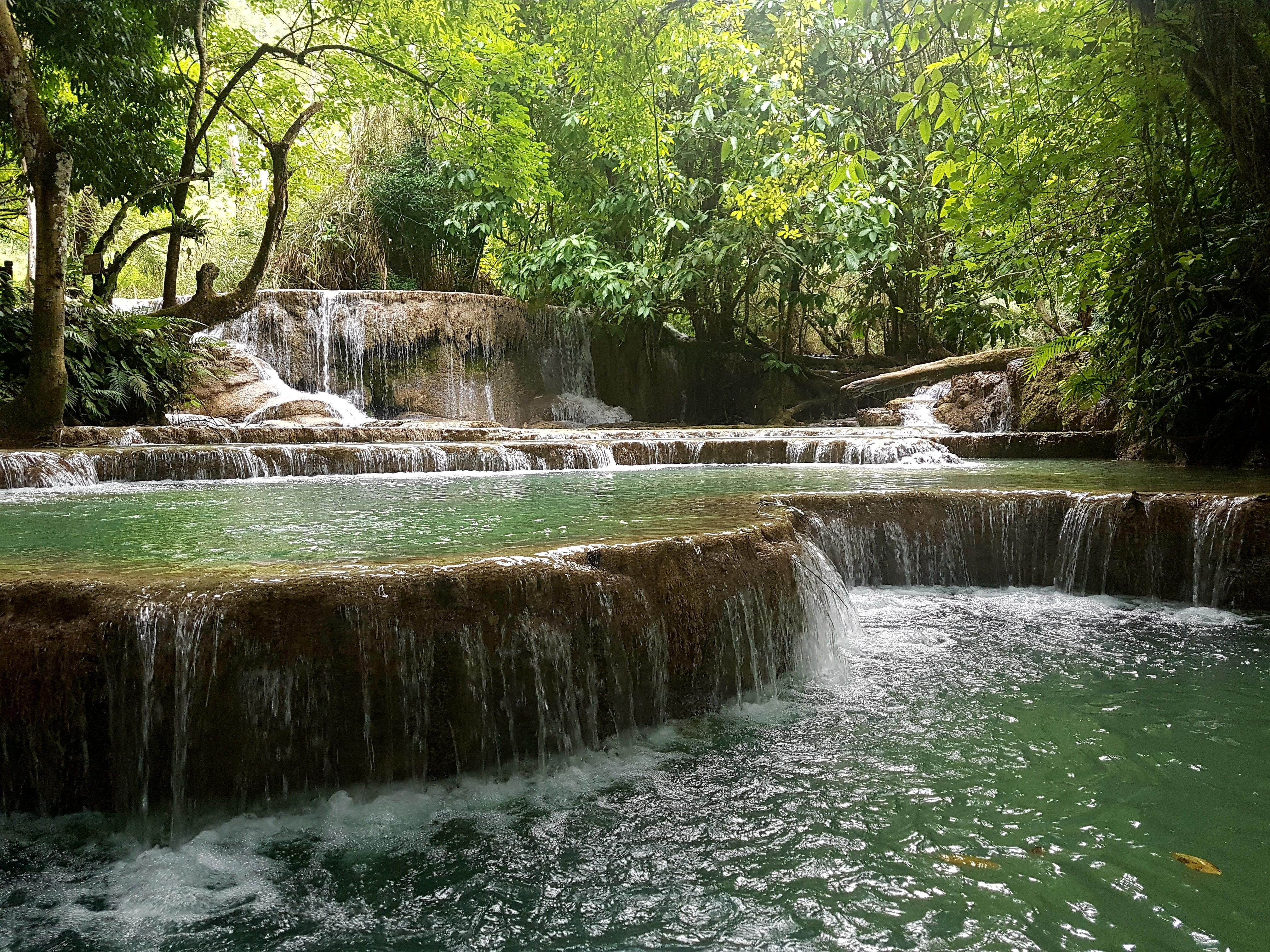 tree, green, river, nature, 4K, flowing water, blurred motion, motion, no people, tranquility, Kuang Si Waterfalls, long exposure, brown, plant, waterfalls, HD Wallpaper
