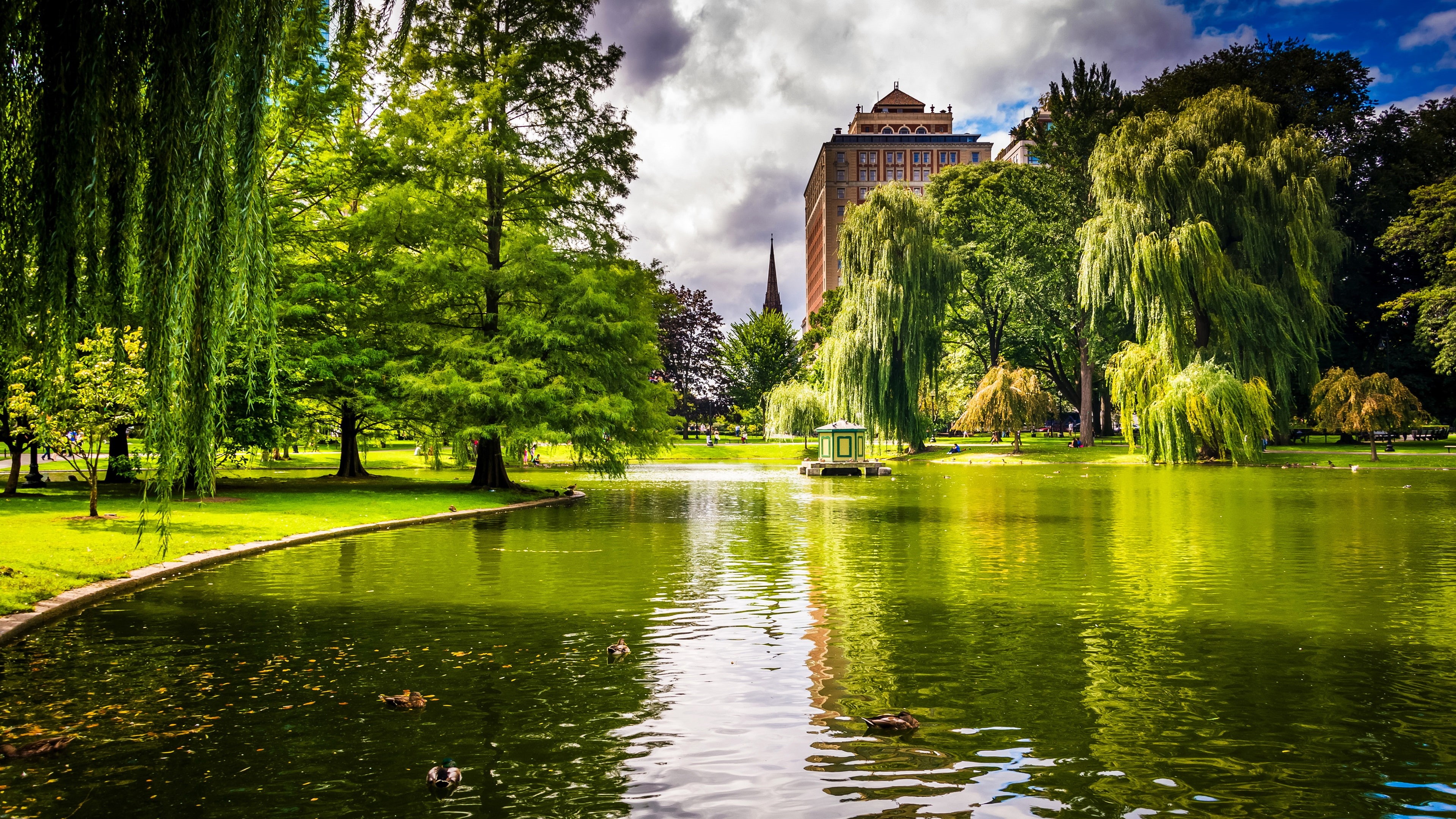 Boston, Trees, Pond, Park, 4K, USA, Grass, Massachusetts, HD Wallpaper
