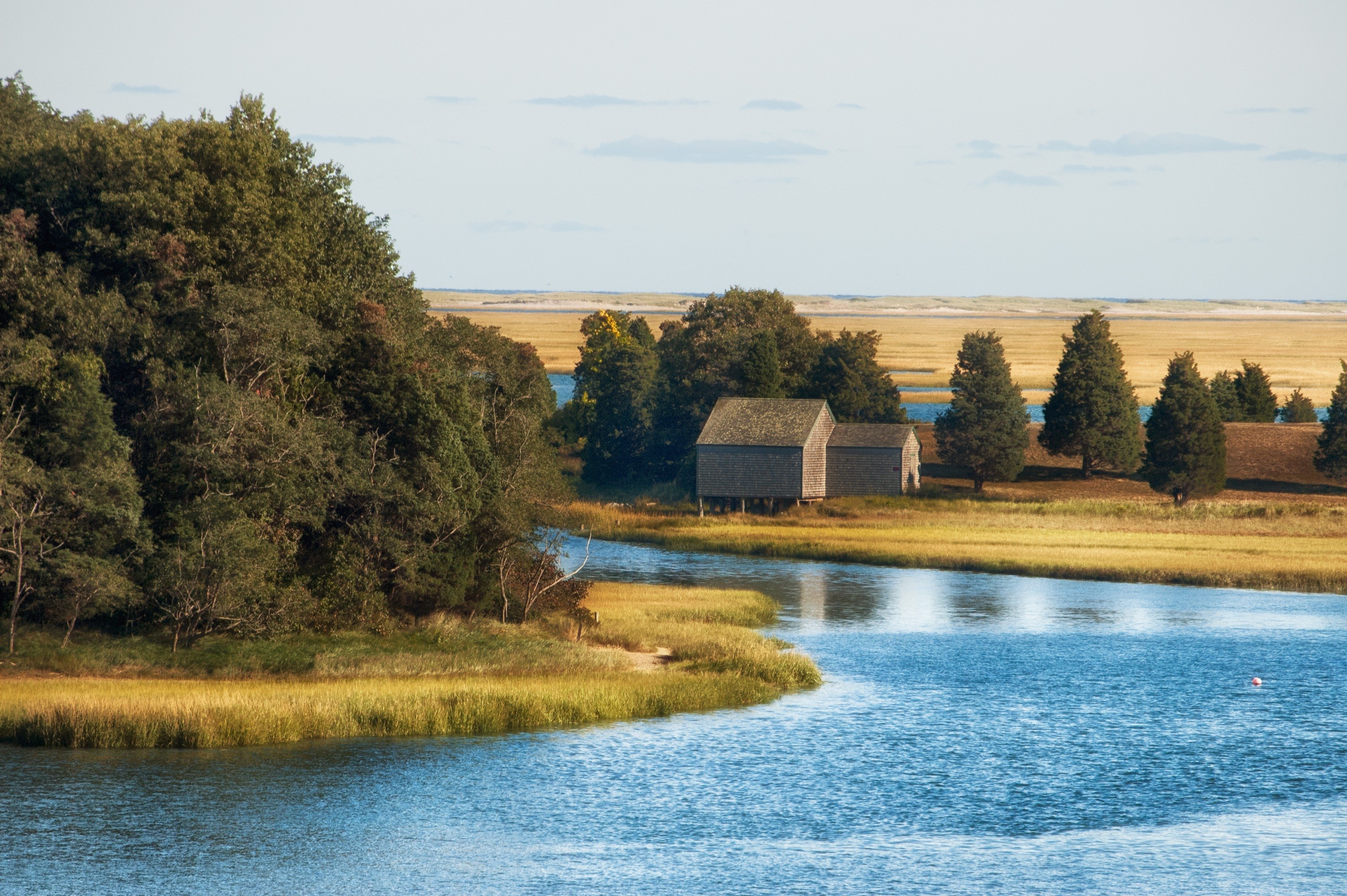 growth, no people, plant, house, water, tranquility, massachusetts, lake, beach, sky, architecture, landscape, nature, tree, shore, waterfront, 2K, cape cod, HD Wallpaper