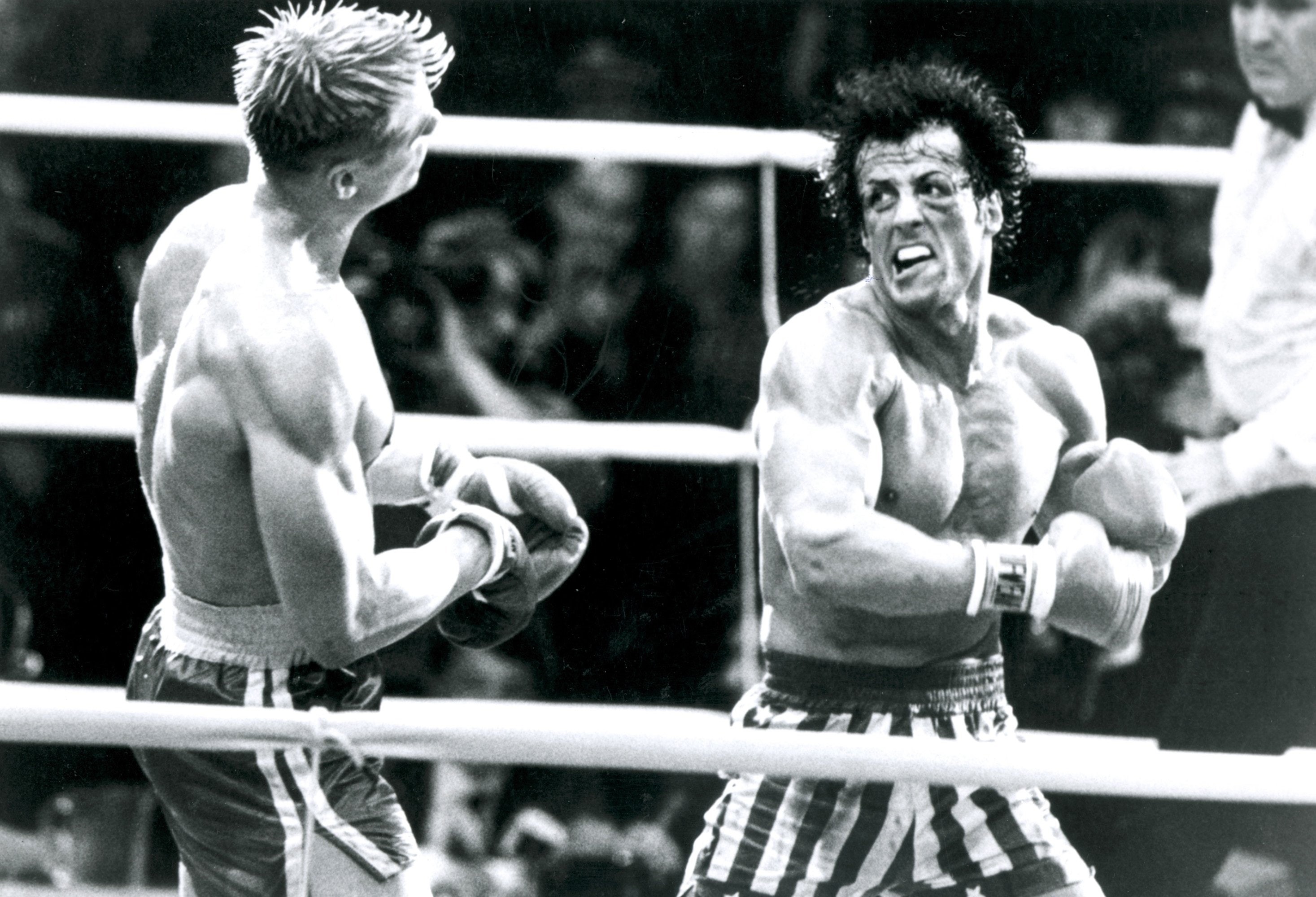 stallone, (2), movies, 2K, 056, rocky, sylvester, HD Wallpaper