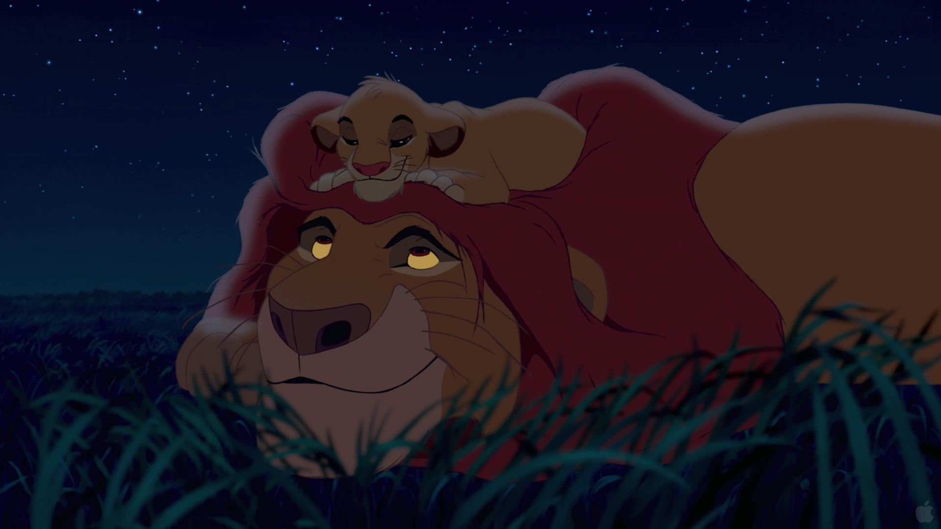 nature, star - space, lion, Disney, night, plant, 1080P, animated movies, Simba, movies, land, The Lion King, grass, animal themes, outdoors, representation, HD Wallpaper