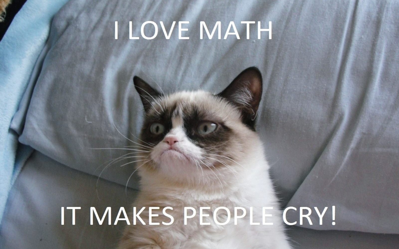 grumpy, funny, quote, meme, cat, humor, 720P, HD Wallpaper