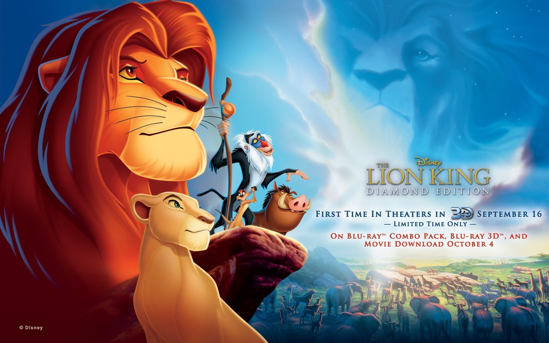 Disney, Lion, dvd, King, Movie, 1080P, HD Wallpaper
