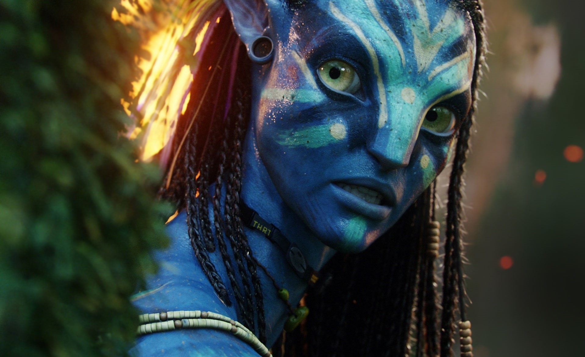 human body part, hairstyle, close-up, women, headshot, human face, nature, adult, make-up, Neytiri, young adult, 1080P, young women, hair, outdoors, Movies, HD Wallpaper