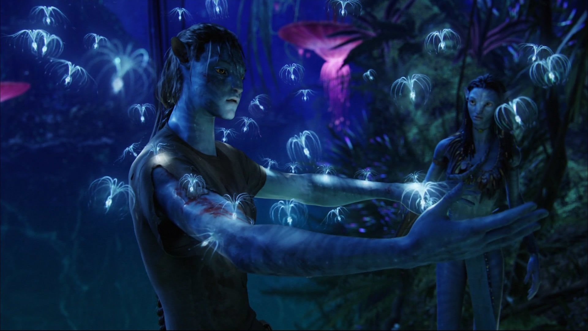 Jake Sully, movie, Neytiri (Avatar), one person, animals in the wild, Navi, blue, transparent, beauty, still, Avatar, holding, tank, beautiful people, underwater, HD Wallpaper
