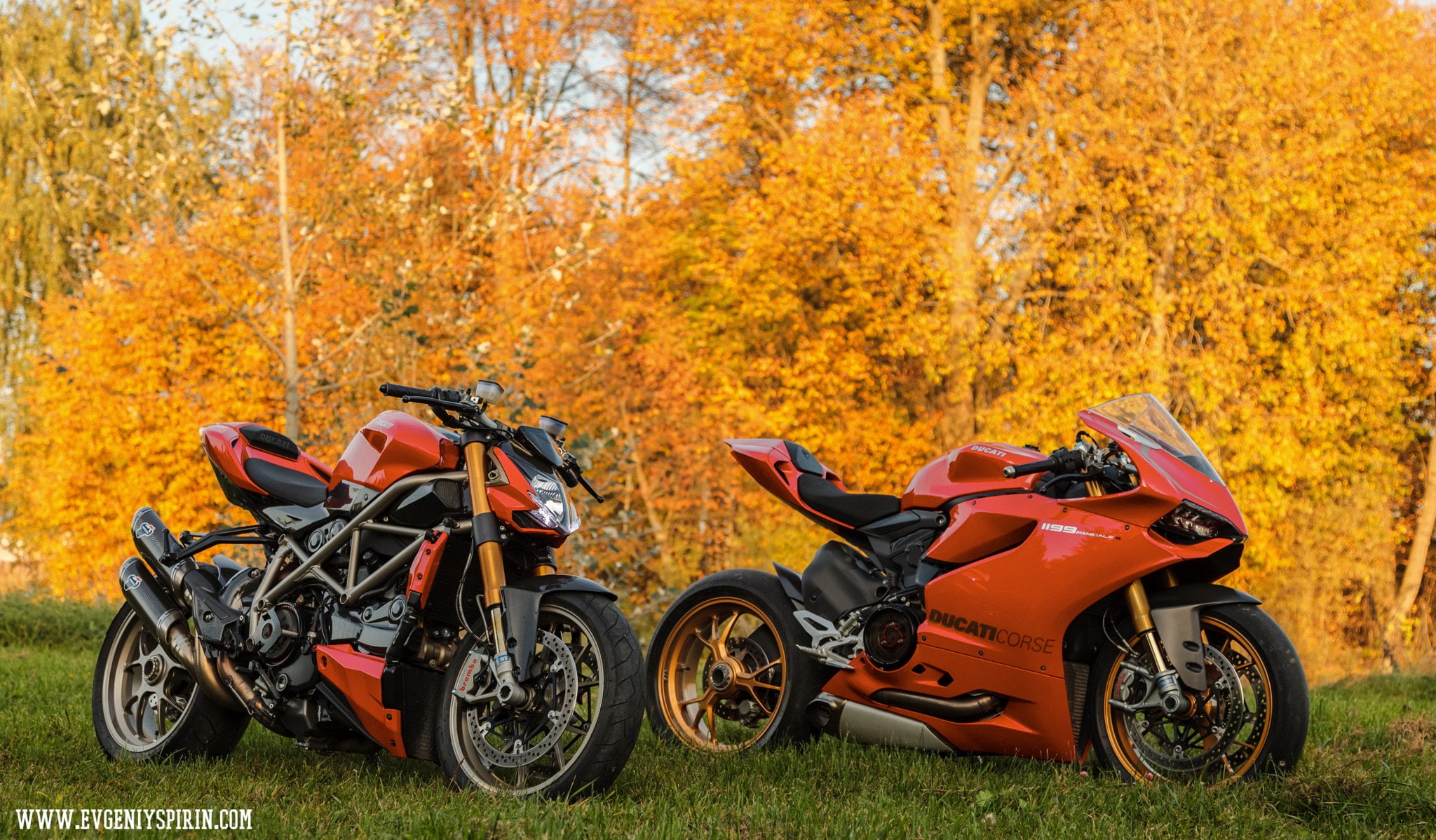 field, helmet, mode of transportation, land, nature, orange, tree, plant, Ducati, transportation, orange color, beauty in nature, 500px, 1080P, forest, HD Wallpaper