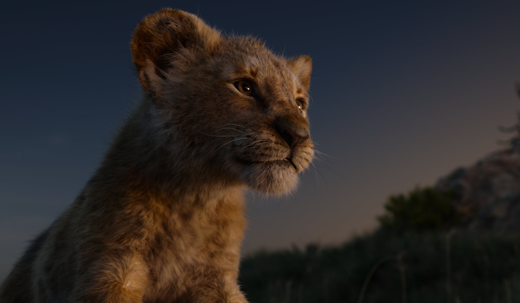 Simba, 1080P, The Lion King (2019), Movie, HD Wallpaper