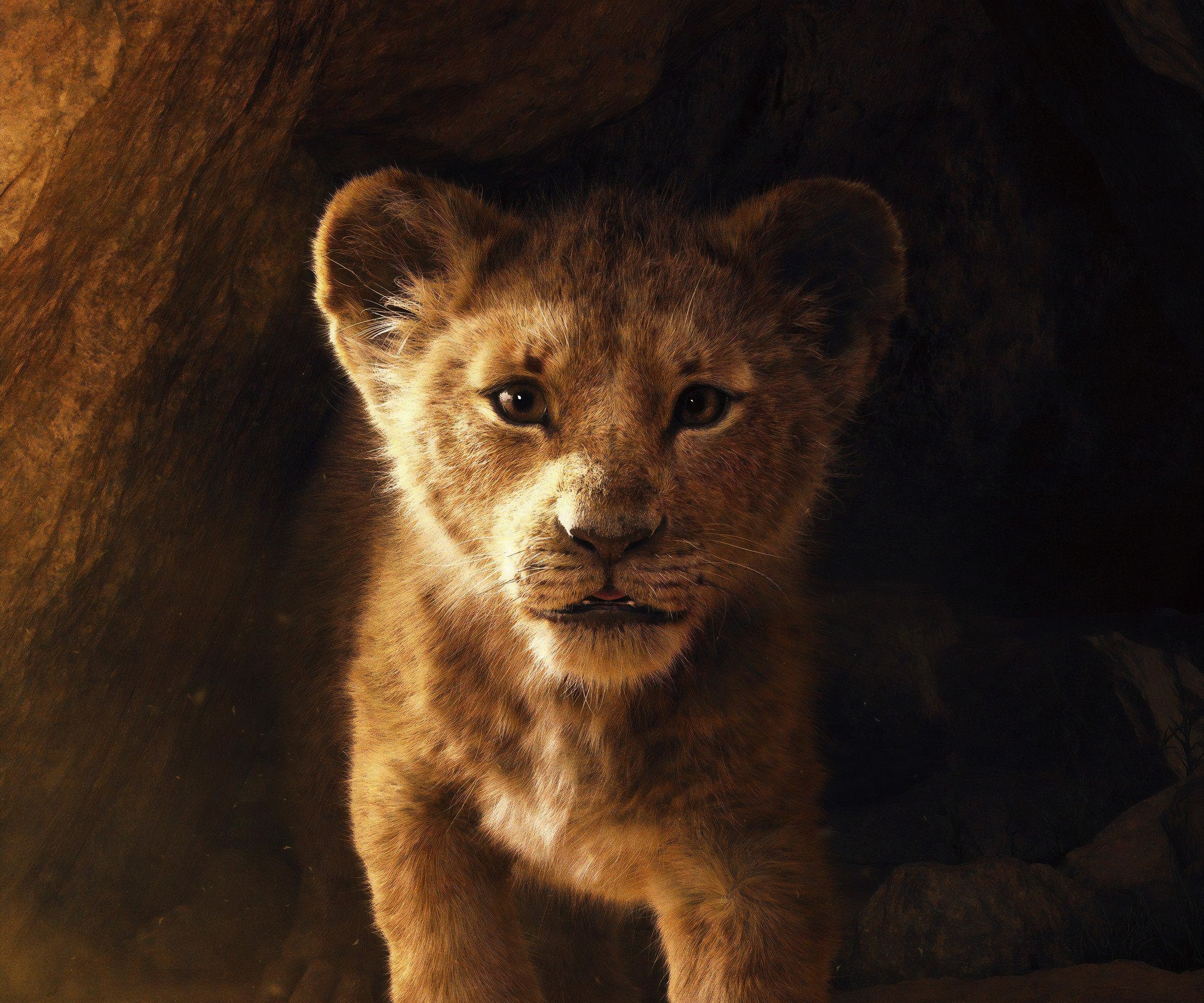5K, Animation, The Lion King, HD, 5K, 2019, HD Wallpaper