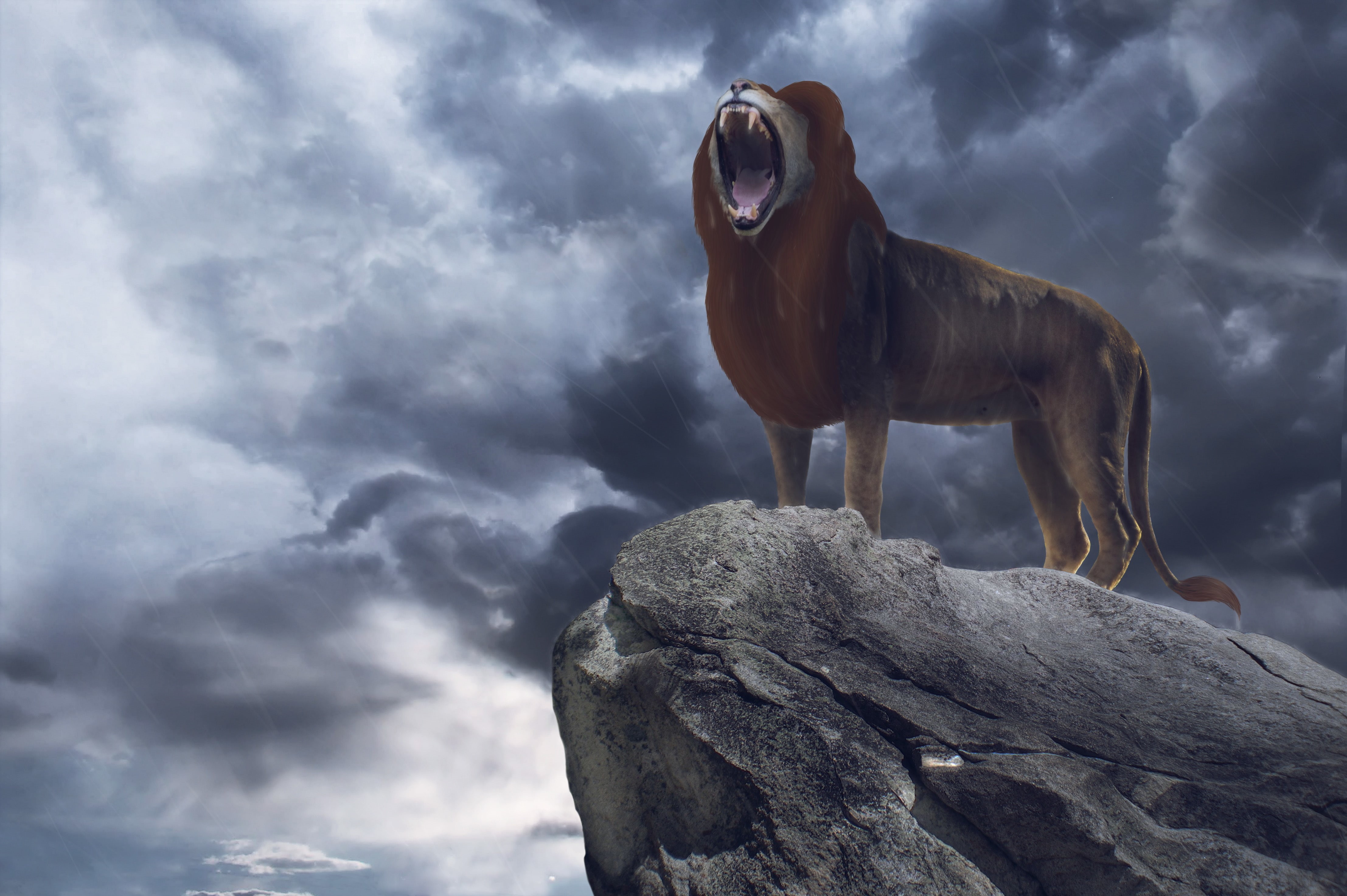 king, lion, movie, simba, 4K, HD Wallpaper
