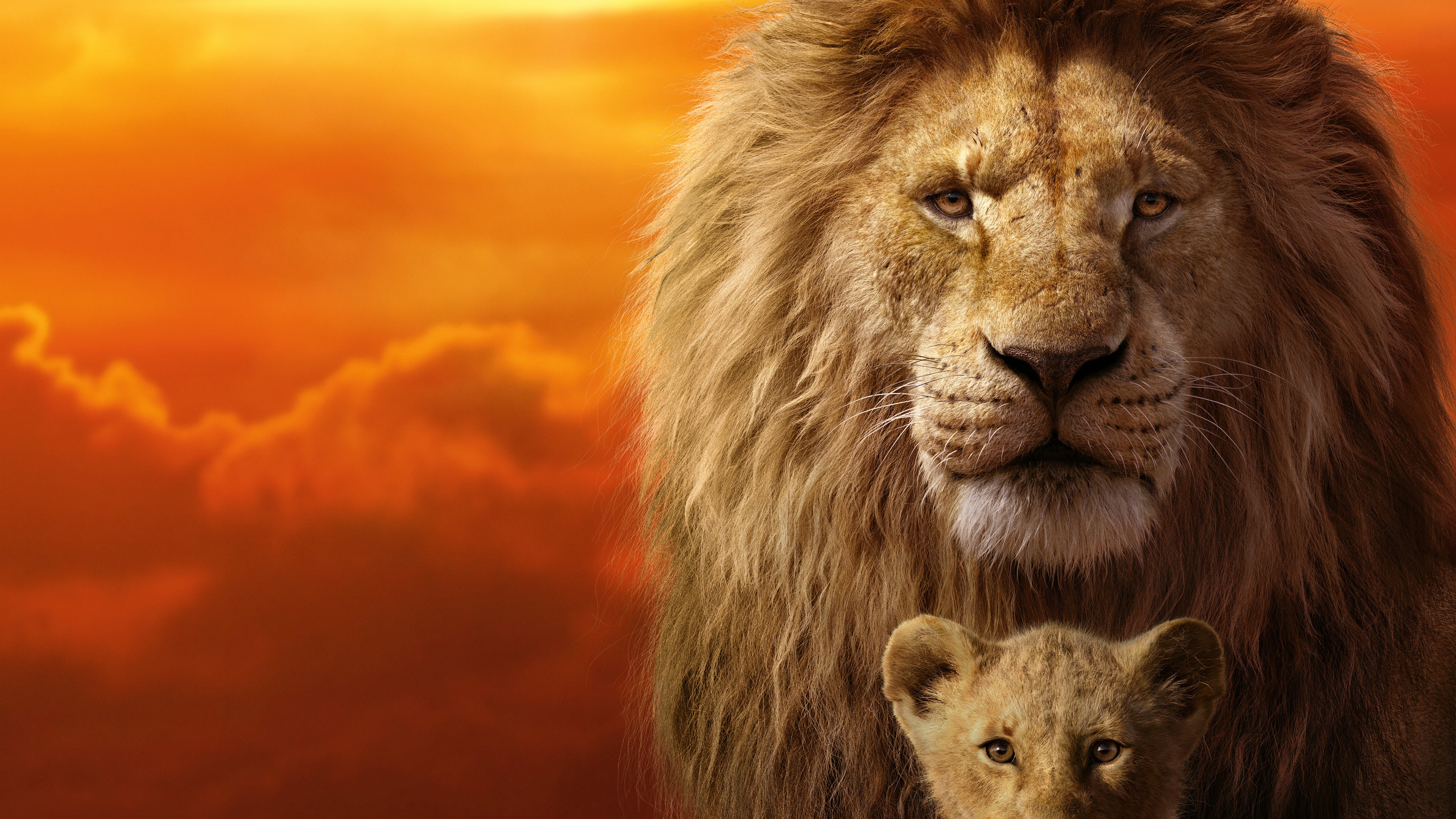 Simba, Mufasa, lion, 8K, The Lion King, HD Wallpaper