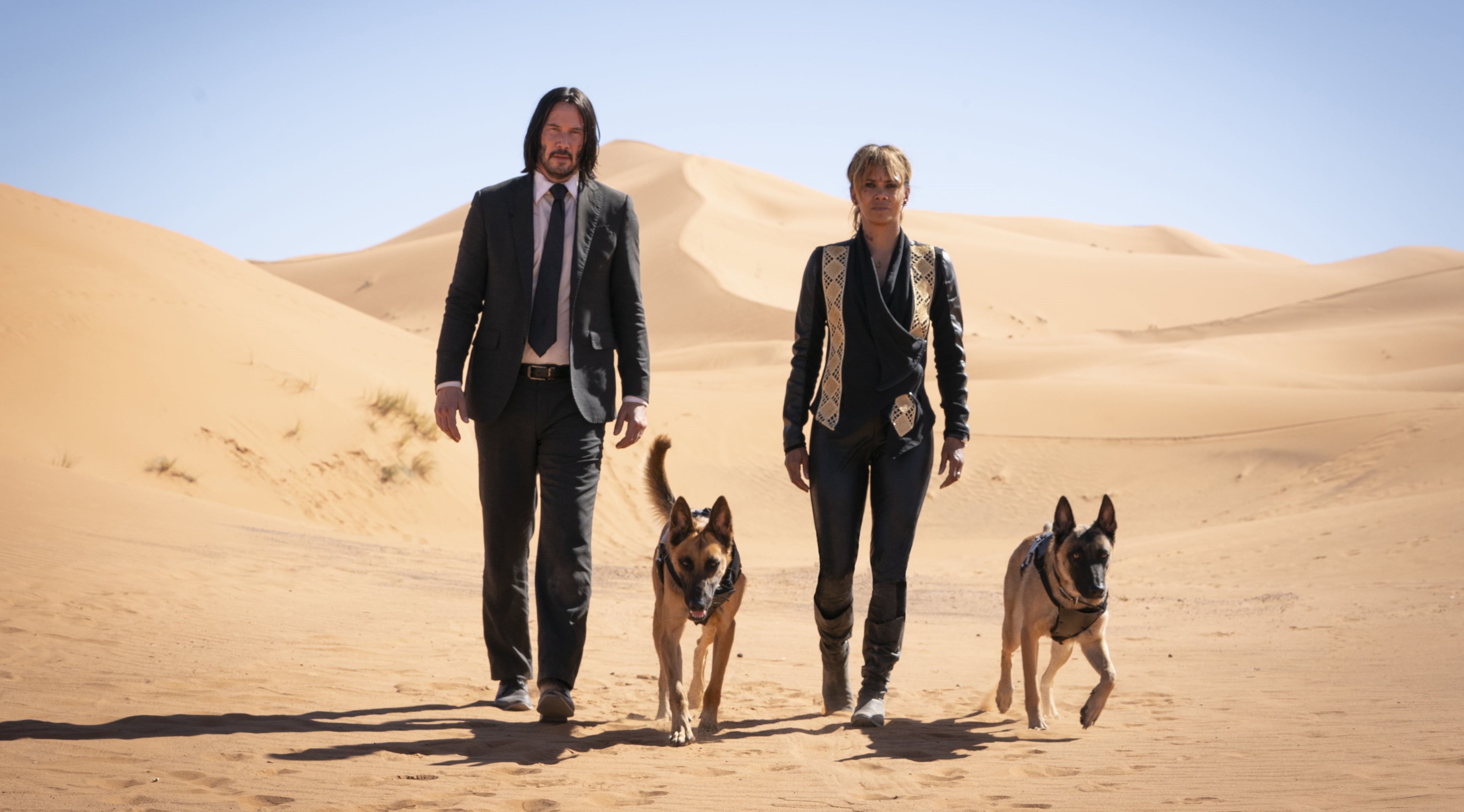 John Wick, 2K, Keanu Reeves, John Wick: Chapter 3 – Parabellum, Halle Berry, Movie, HD Wallpaper