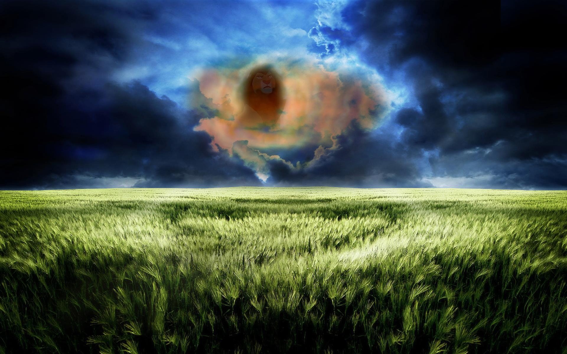 lion, photo, landscapes, disney, king, manipulation, company, 1080P, mufasa, HD Wallpaper
