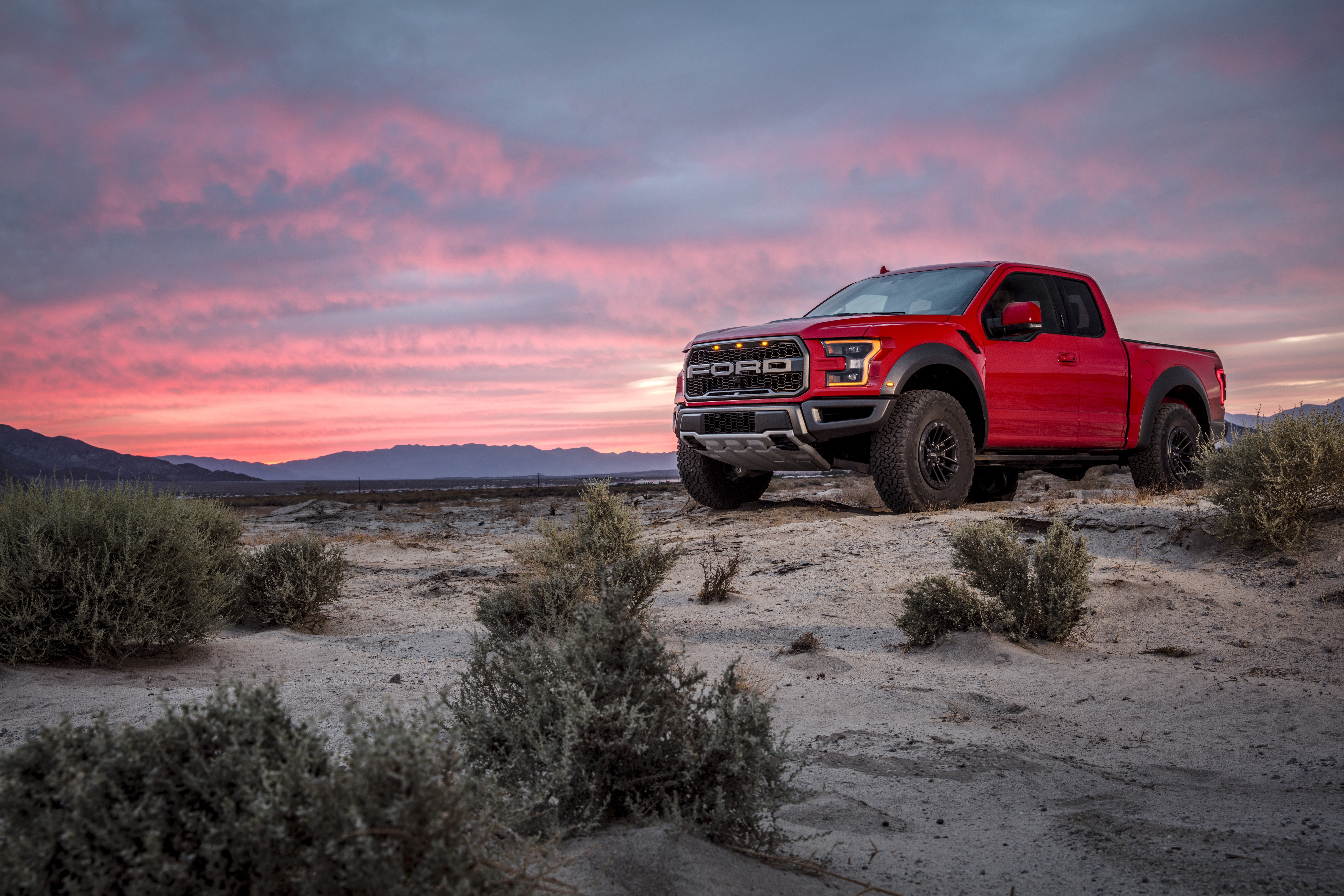 Ford F-150 Raptor, 2019, Desert, Bush, F-150, Raptor, Dune, 8K, Ford, Sand, HD Wallpaper