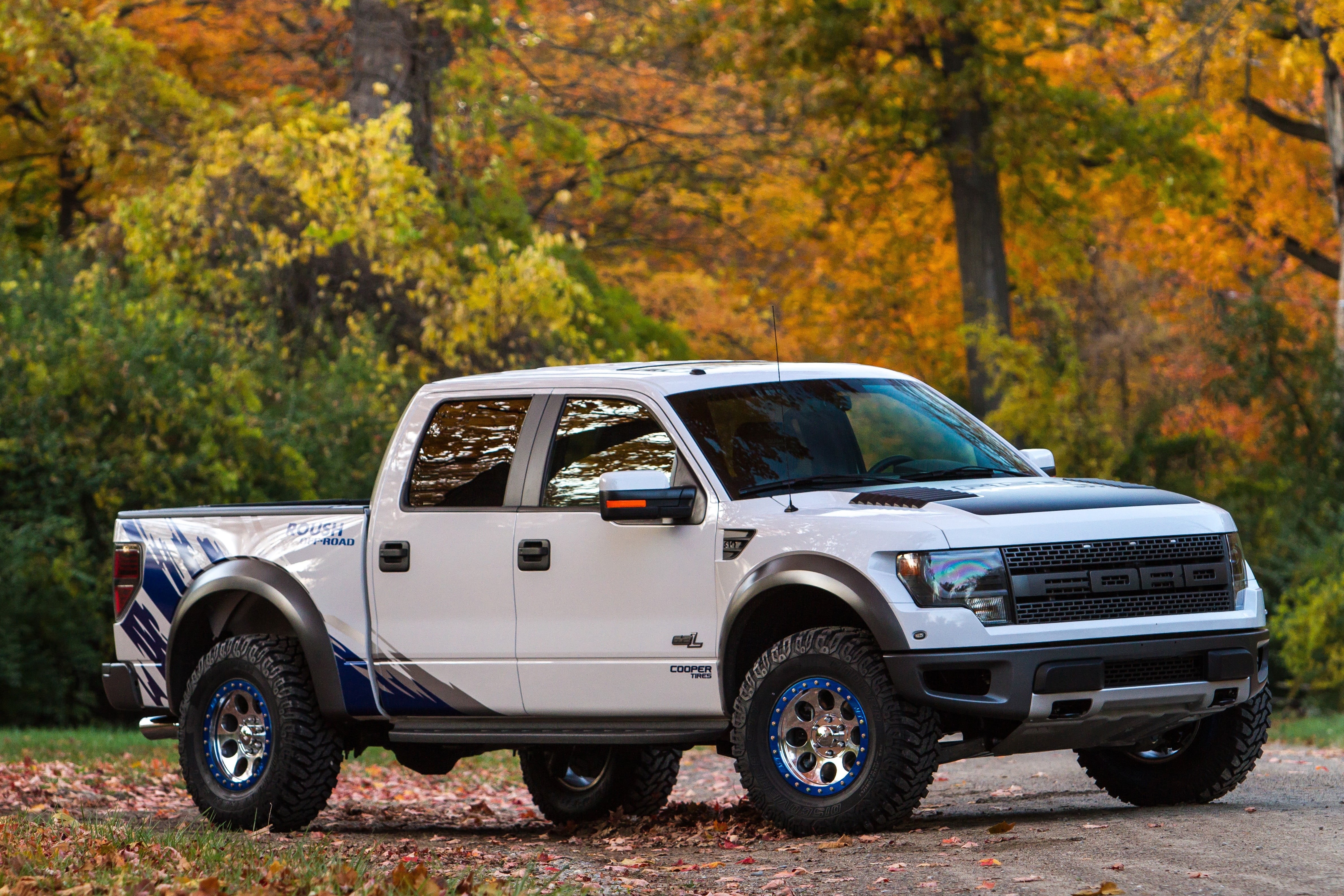 street, day, roush performance, forest, ford, raptor, stationary, engine, dirt Road, 4wd, plant, white, autumn, phase 2, outdoors, black Color, mode of transportation, HD Wallpaper