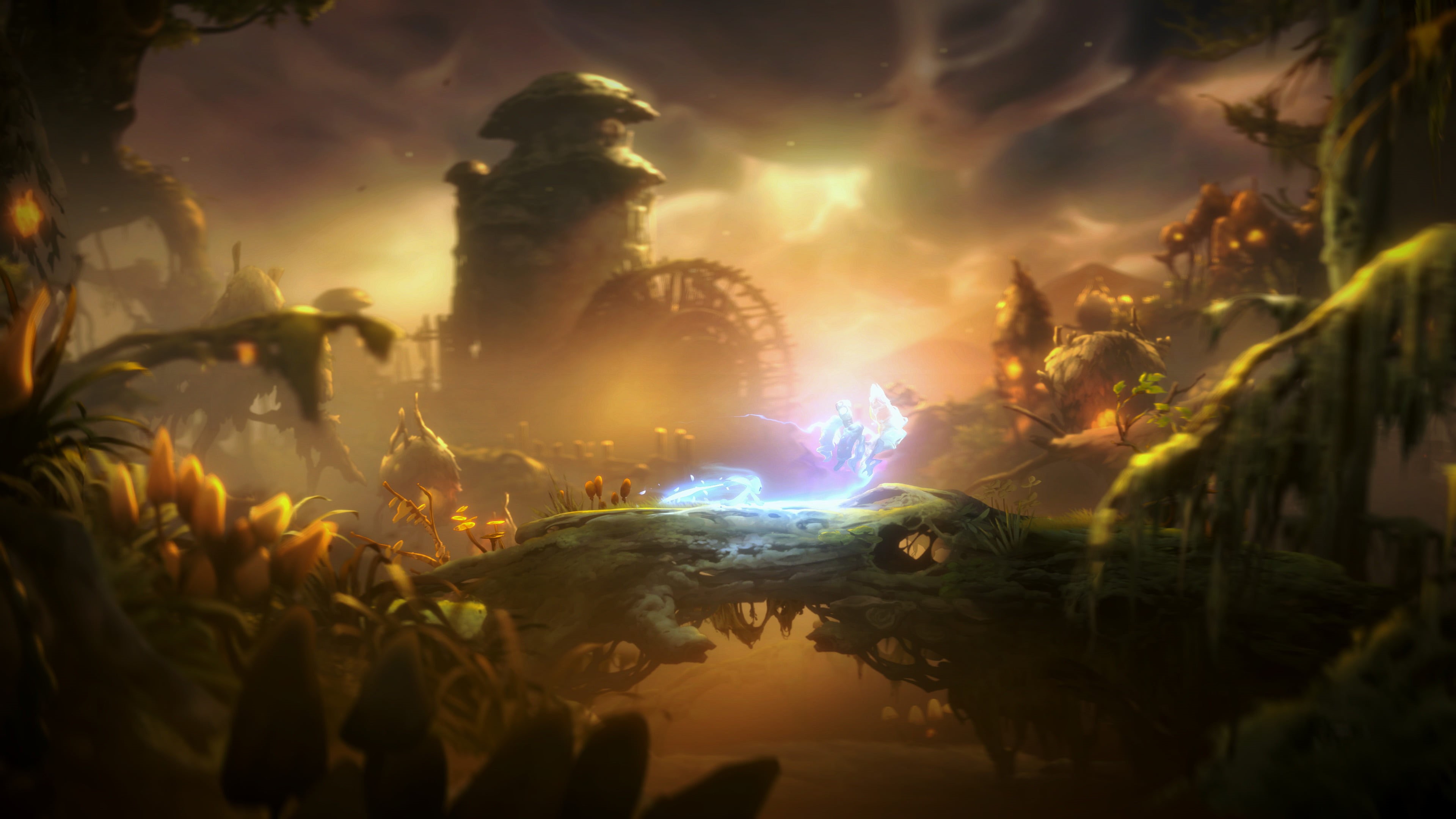 Ori and the Will of the Wisps, 4K, Video Game, HD Wallpaper