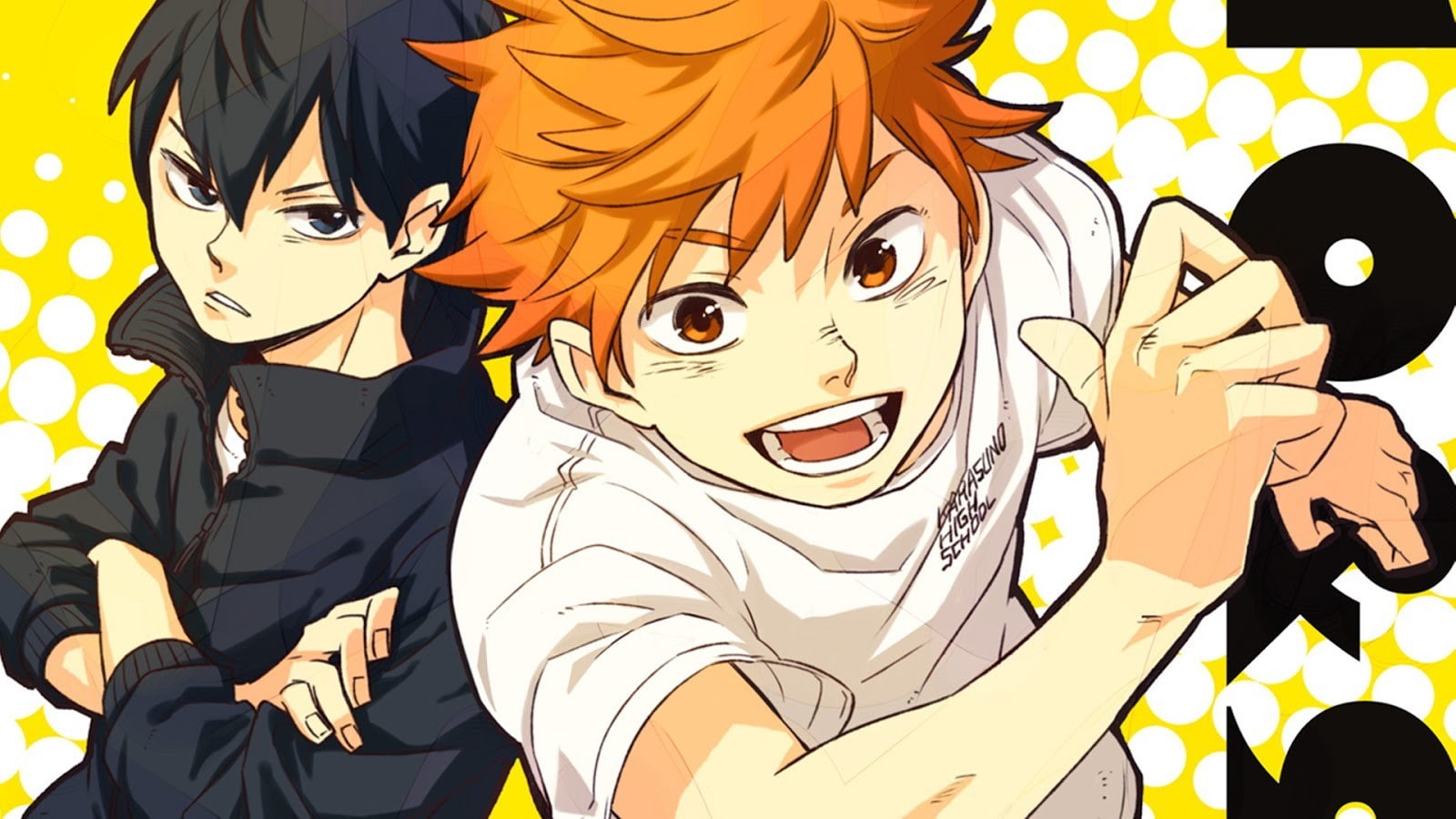 headshot, obscured face, Haikyuu!!, Haikyuu, close-up, unrecognizable person, casual clothing, lifestyles, day, disguise, leisure activity, celebration, HD Wallpaper