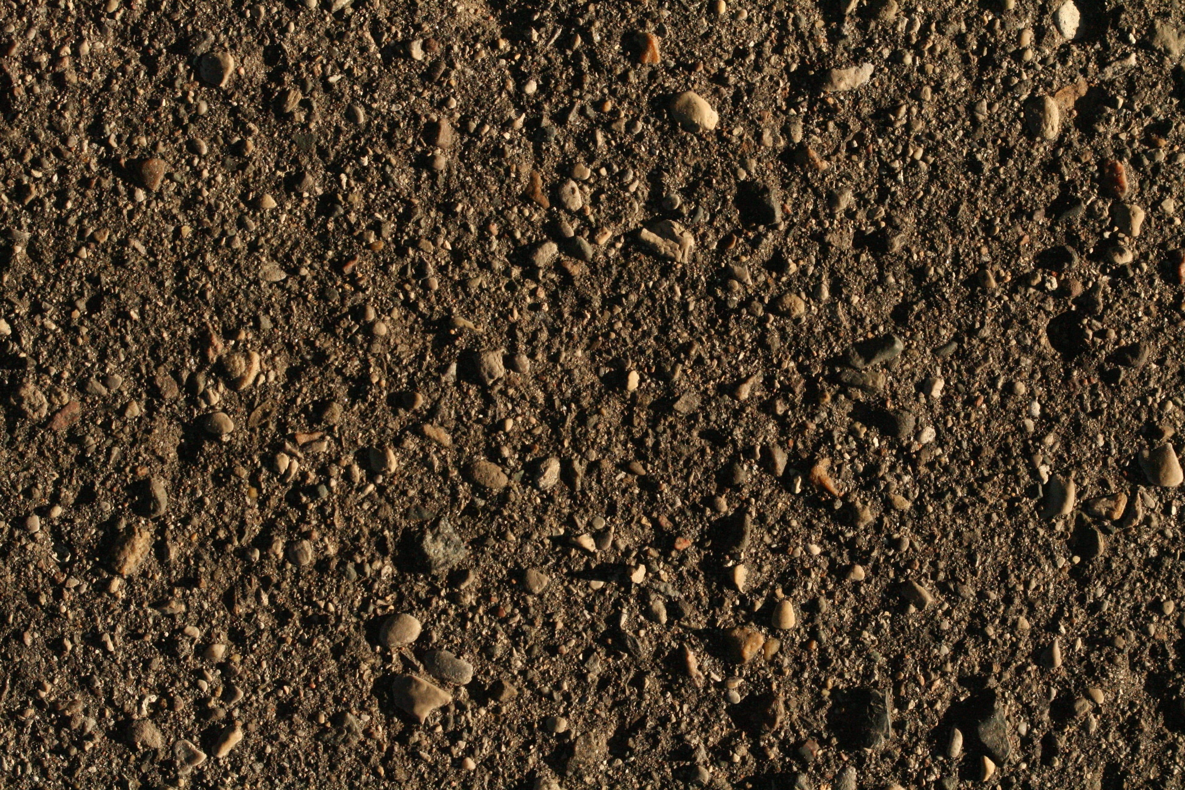 Ground, close-up, 4K, Earth, colony, full frame, solid, pattern, large group of animals, high angle view, nature, outdoors, rough, animal themes, sand, HD Wallpaper
