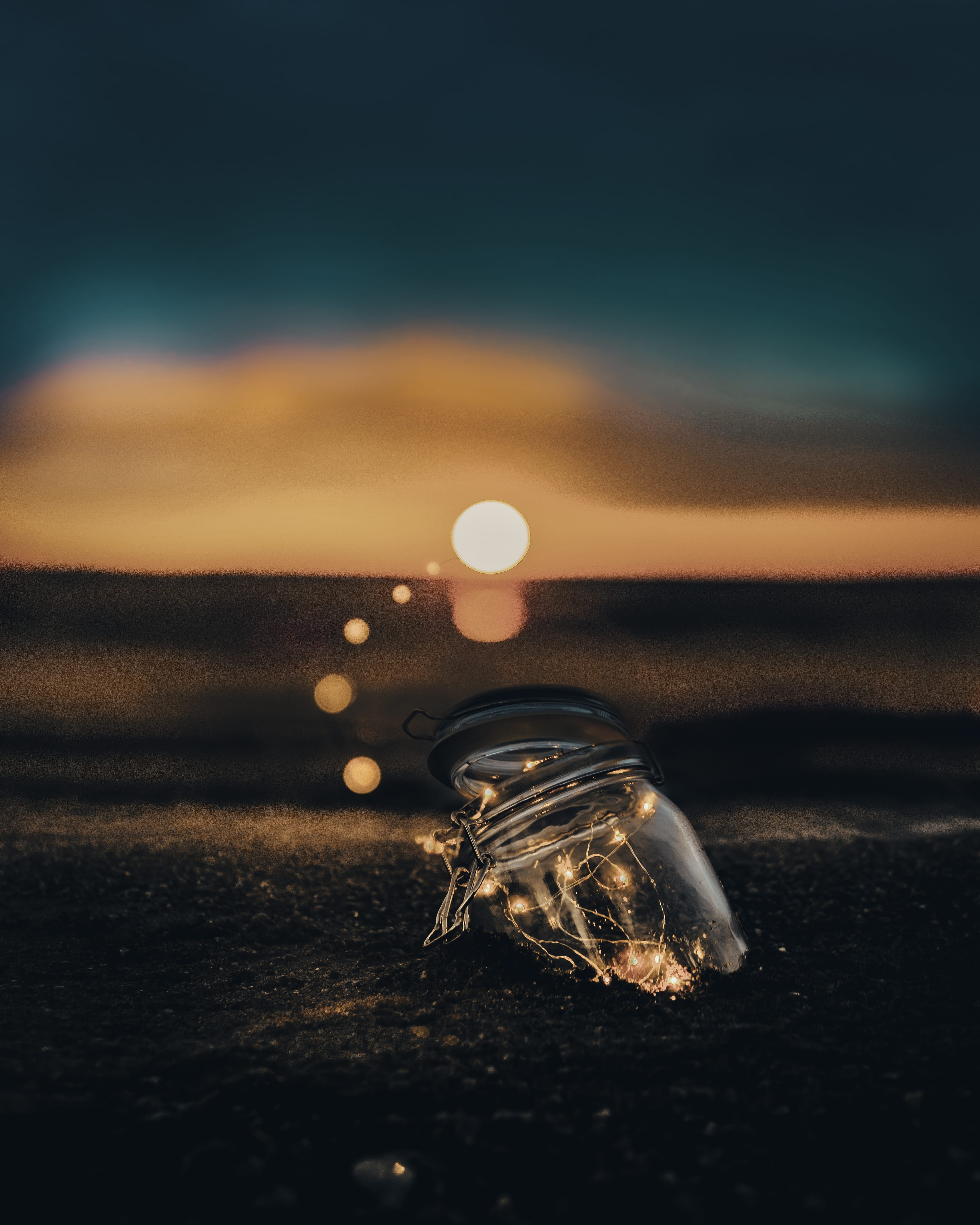 scenics - nature, nature, water, sunset, light, beauty in nature, orange color, animals in the wild, glass, sky, selective focus, clear, 4K, land, night, Phone HD Wallpaper
