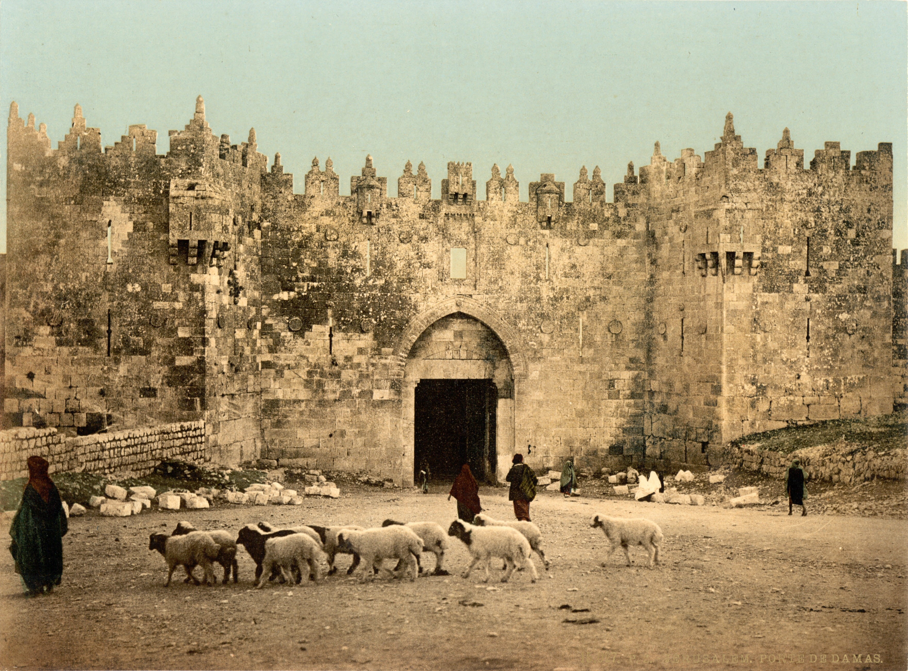 mammal, domestic, building exterior, animal, real people, herd, built structure, history, public domain, building, outdoors, animal themes, Israel, Damascus Gate, HD Wallpaper