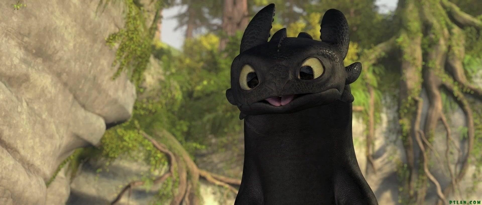 Toothless (How to Train Your Dragon), How To Train Your Dragon, 1080P, Movie, HD Wallpaper